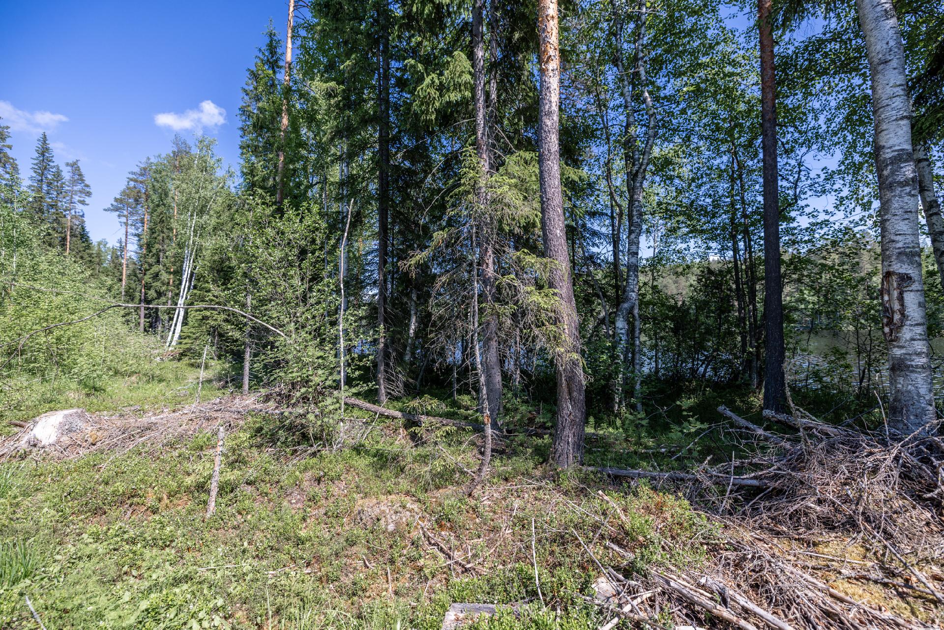 Riutanpolku 122, Rahula, Mikkeli