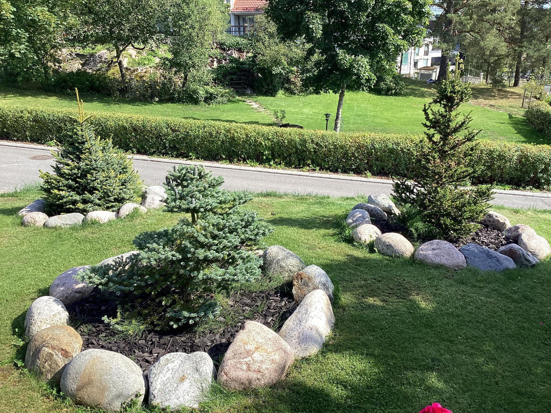 Tämän talon puutarha on hurmaava