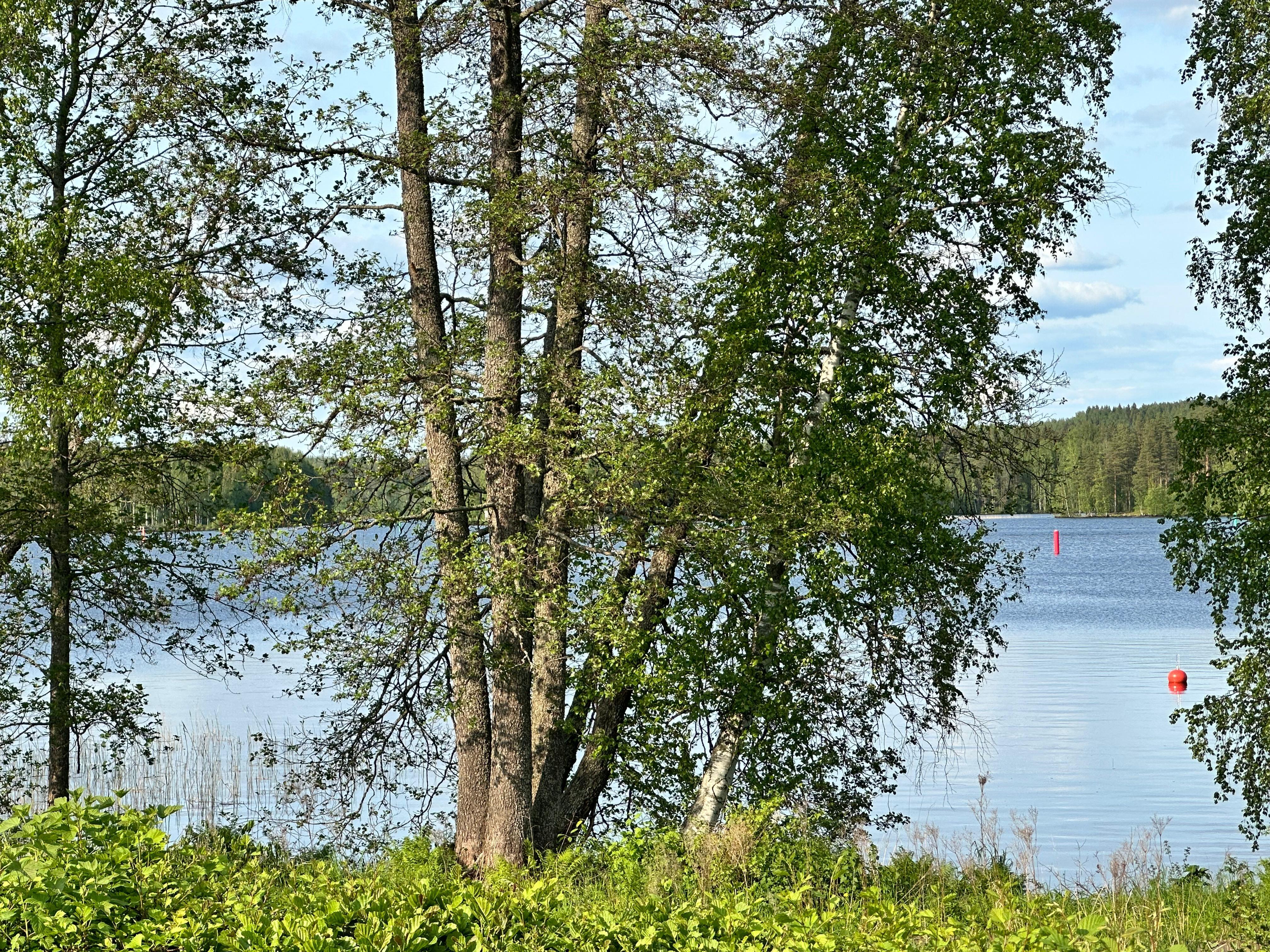 Harjuntie 21, Kankunharju, Varkaus