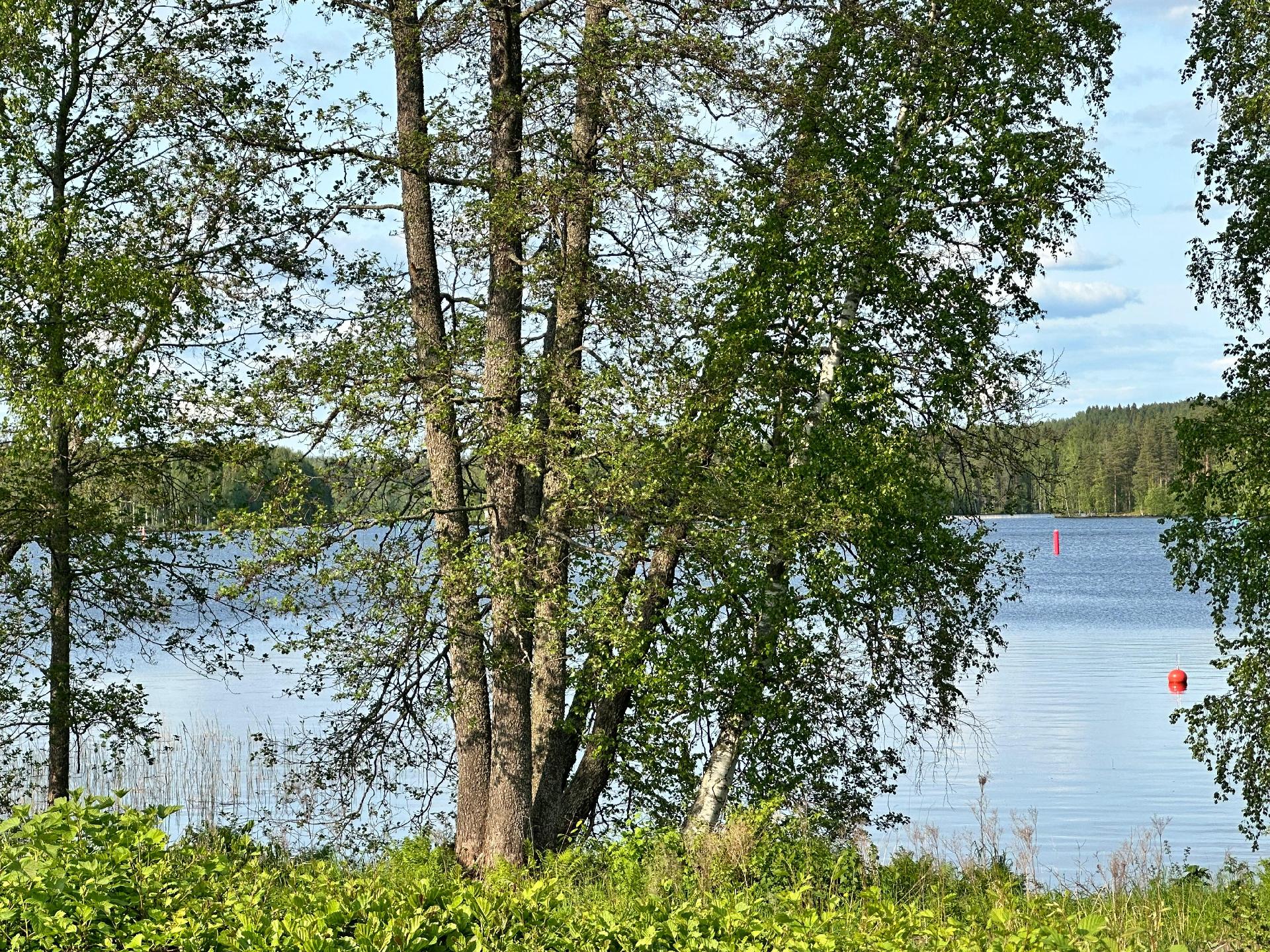 Harjuntie 21, Kankunharju, Varkaus