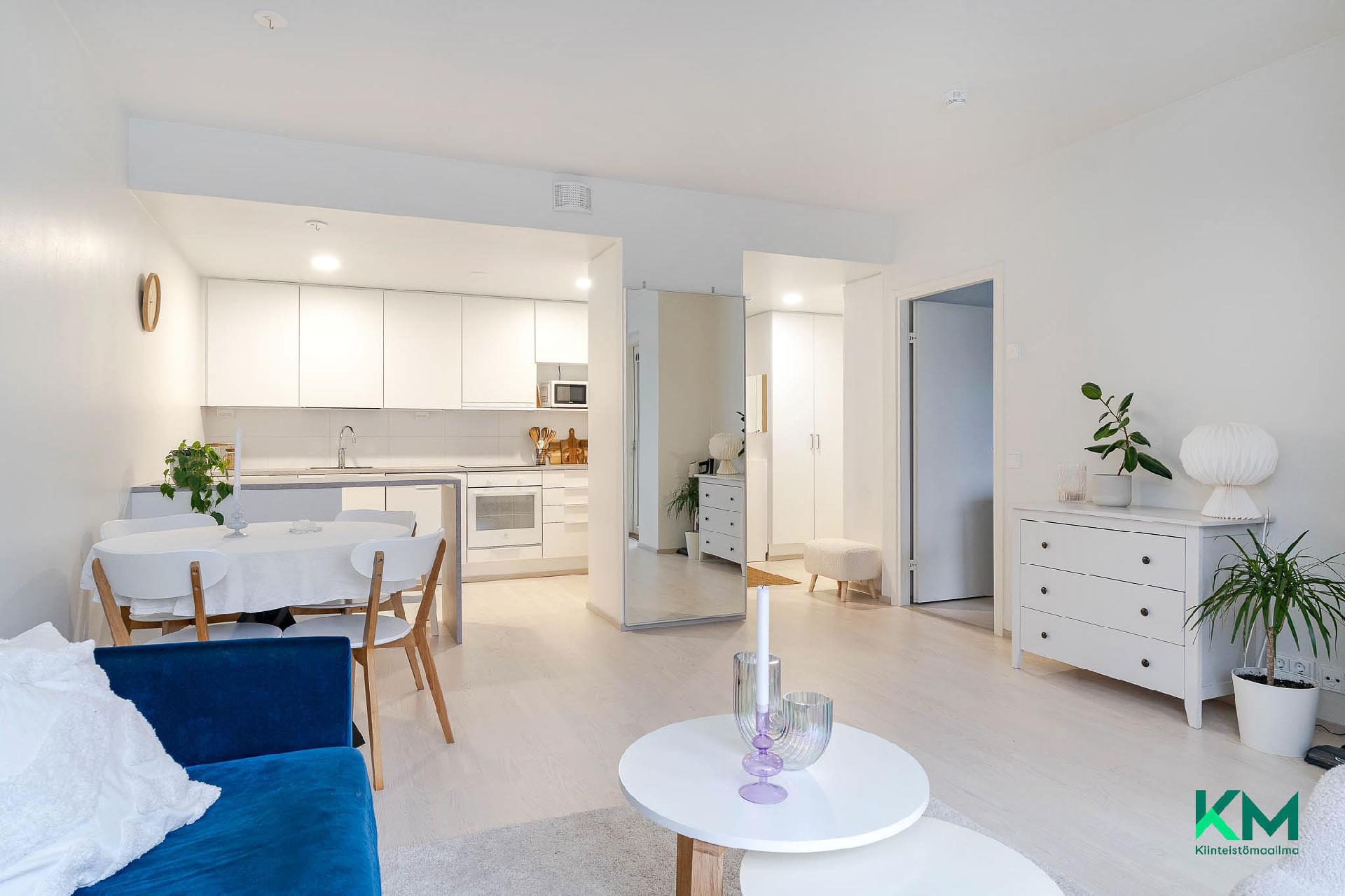 Olohuone ja keittiö