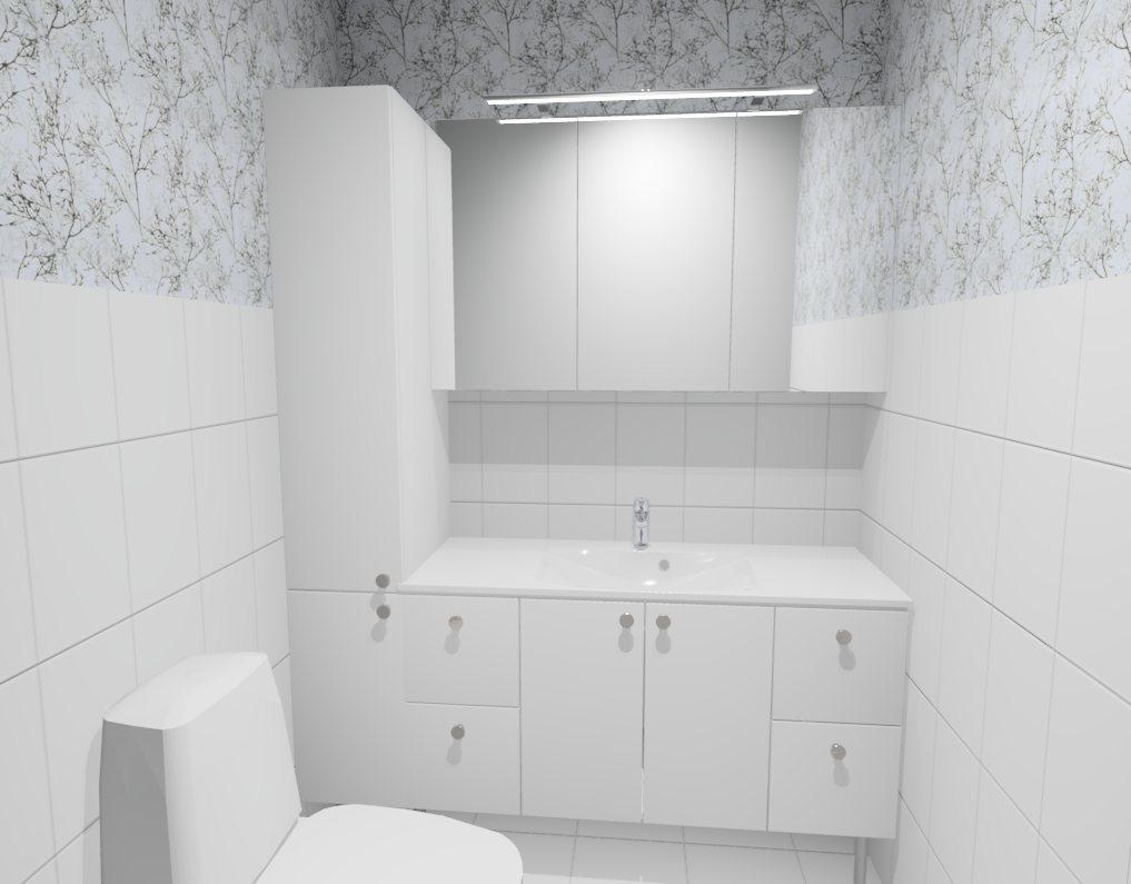 Havainnekuva erillisestä wc:stä remontin jälkeen. Materiaalit ja värit muutettavissa.