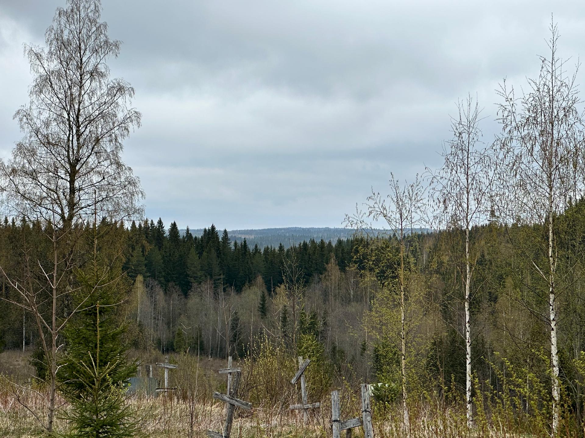 Kurjalanrannantie 580, Kurjalanranta, Leppävirta
