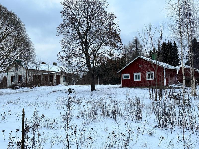 Kurjalanrannantie 580, Kurjalanranta, Leppävirta