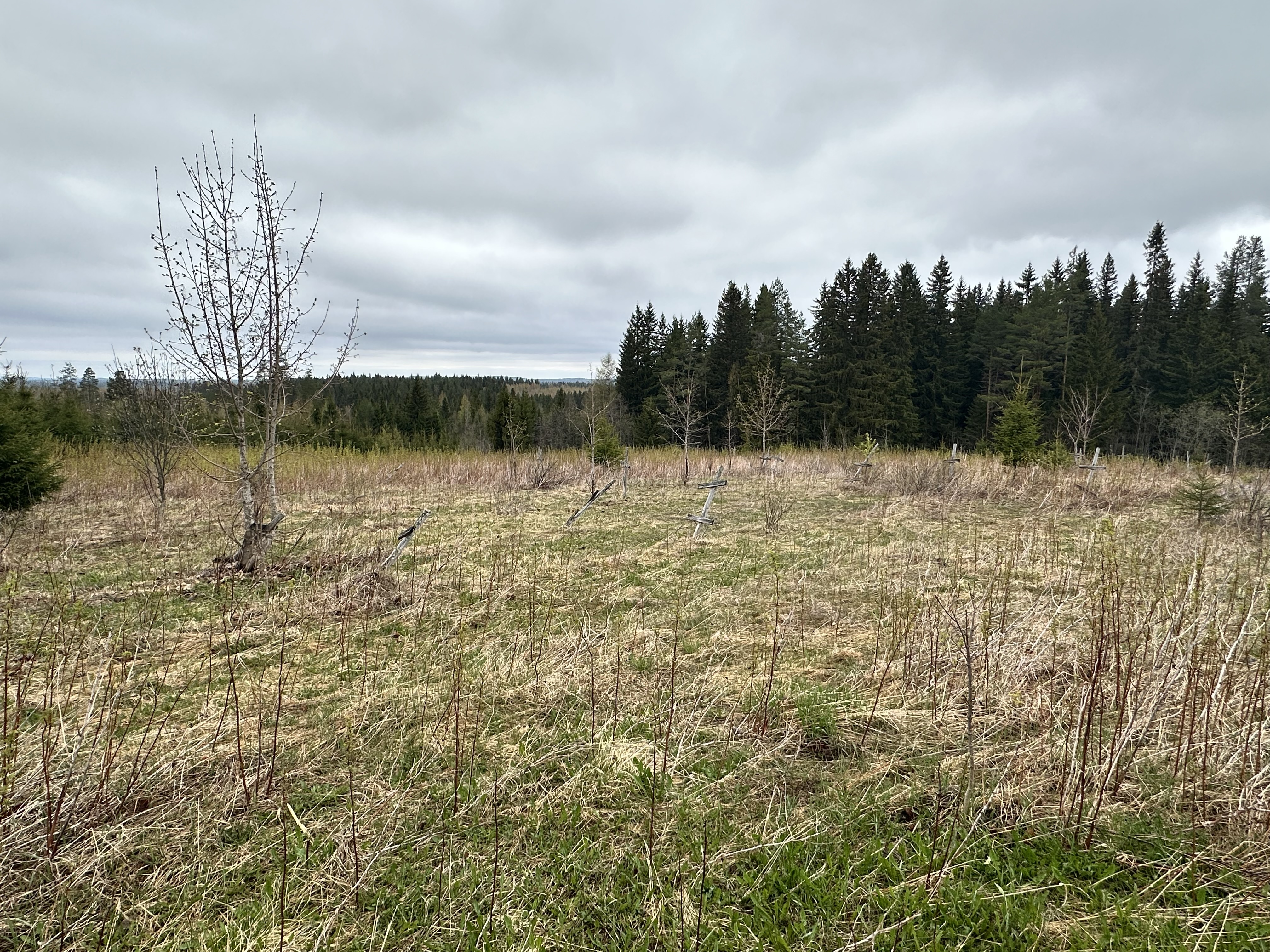 Kurjalanrannantie 580, Kurjalanranta, Leppävirta