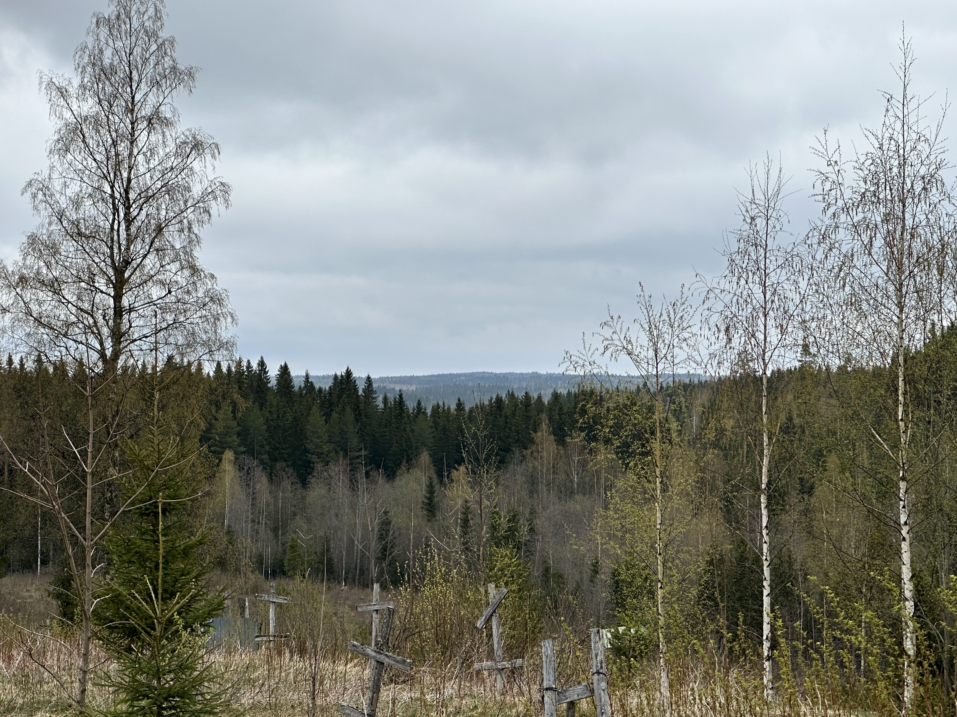 Kurjalanrannantie 580, Kurjalanranta, Leppävirta