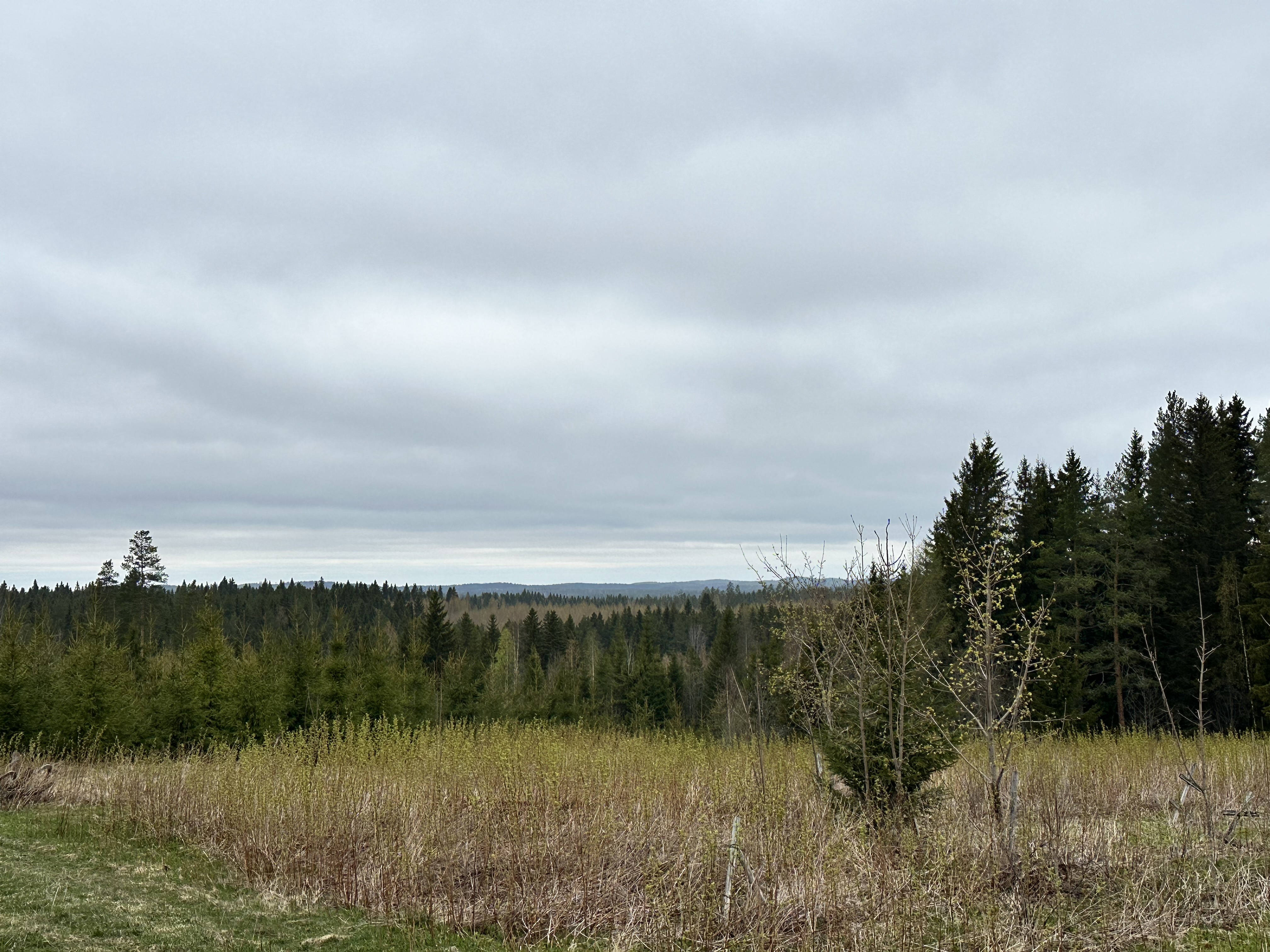 Kurjalanrannantie 580, Kurjalanranta, Leppävirta