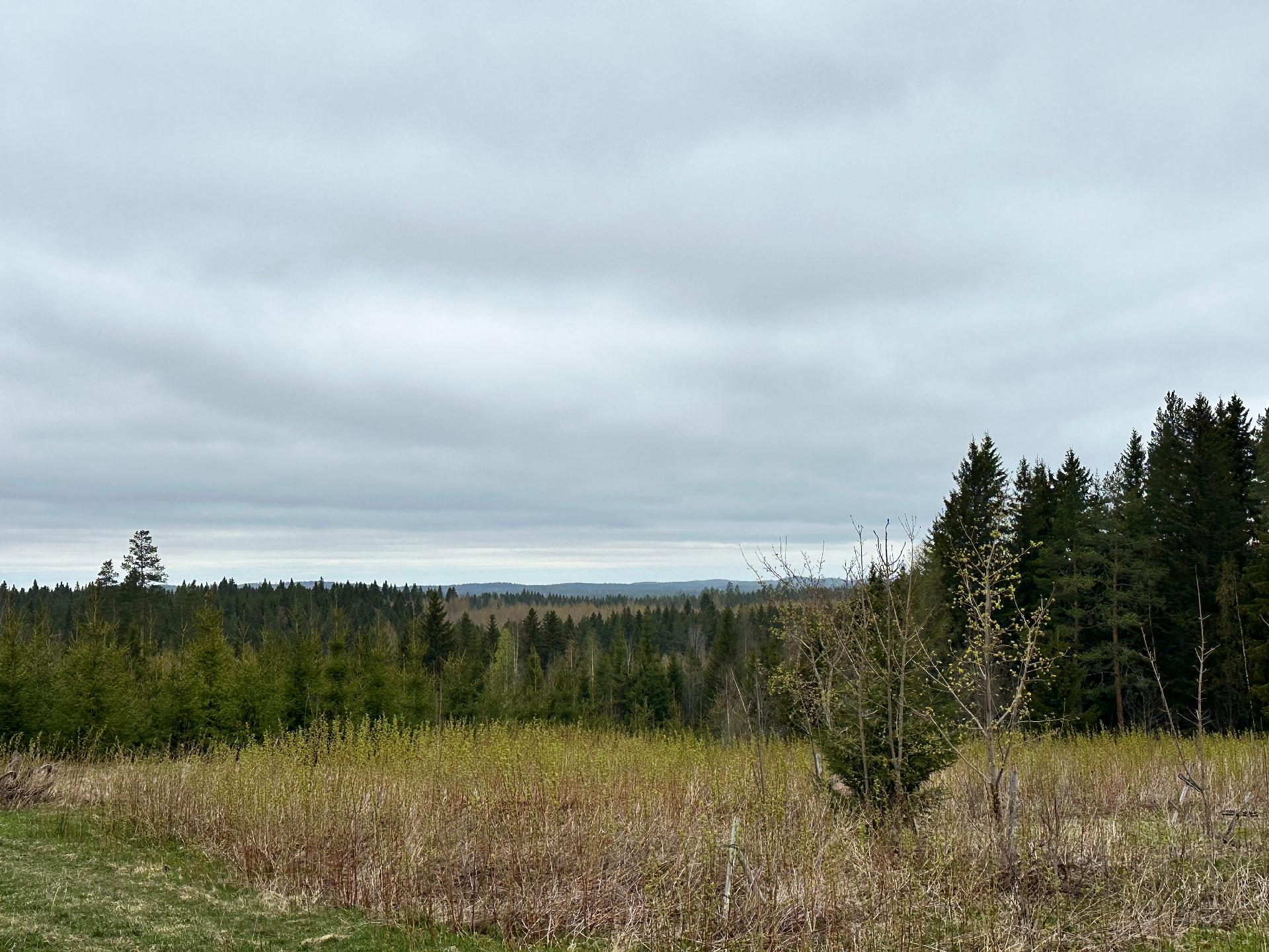 Kurjalanrannantie 580, Kurjalanranta, Leppävirta