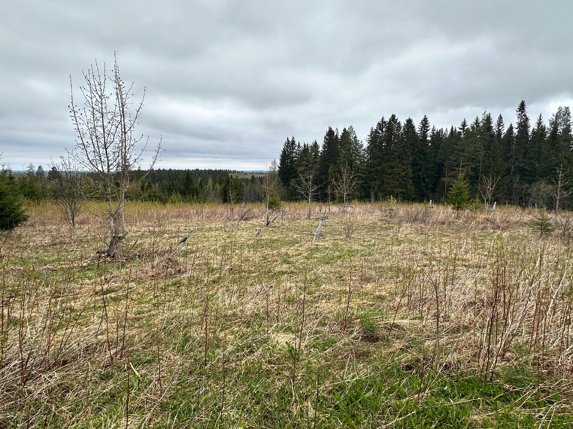 Kurjalanrannantie 580, Kurjalanranta, Leppävirta