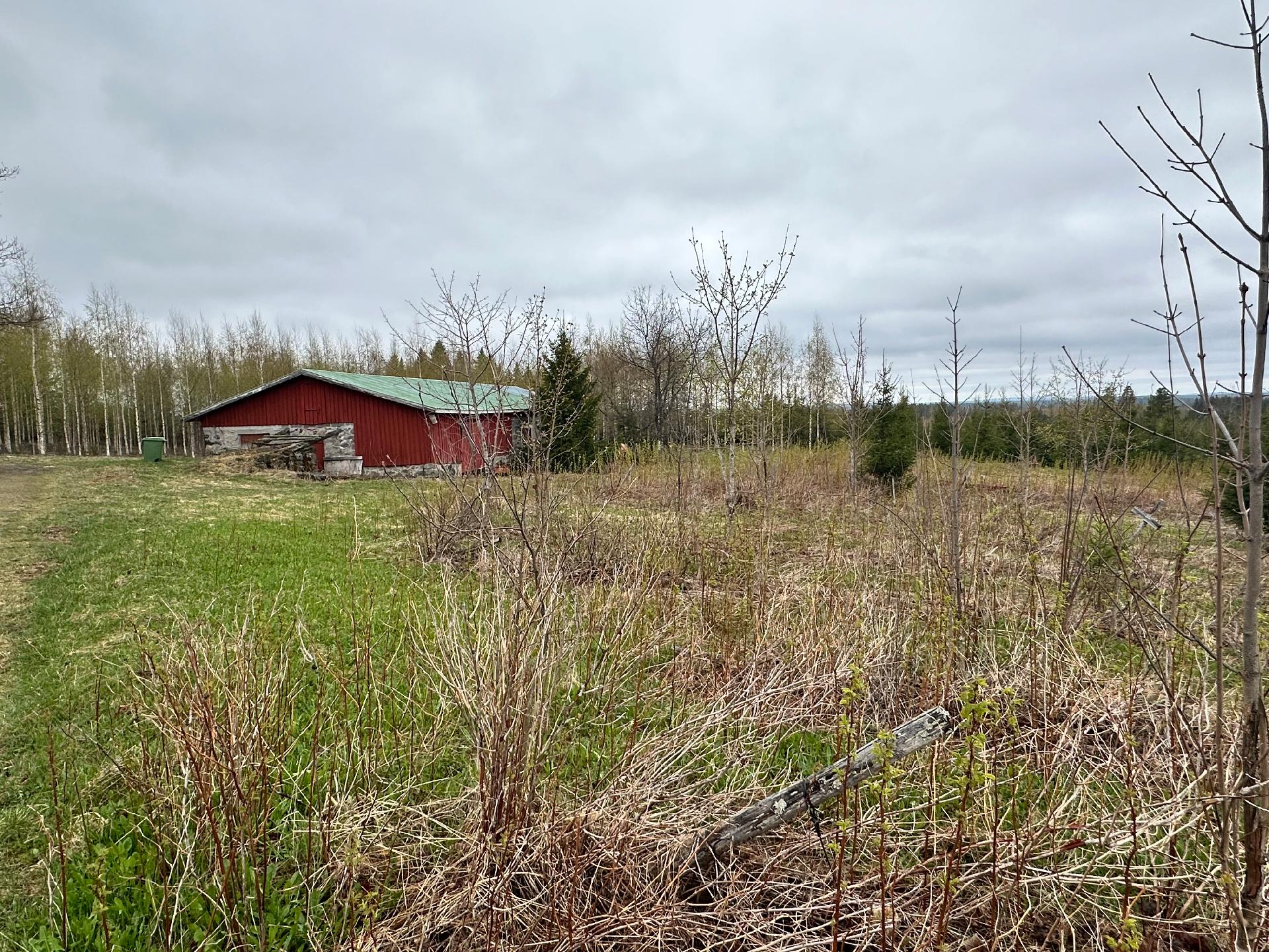 Kurjalanrannantie 580, Kurjalanranta, Leppävirta