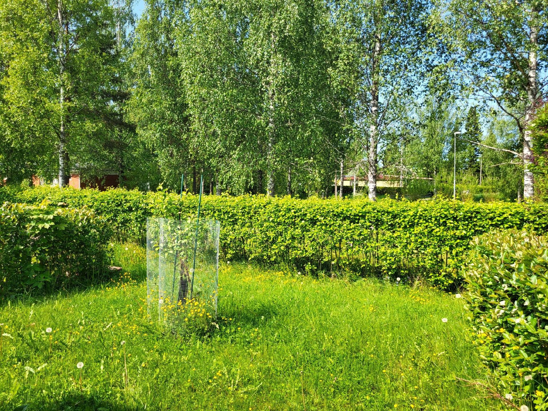 Laineentie 4, Kausala, Iitti