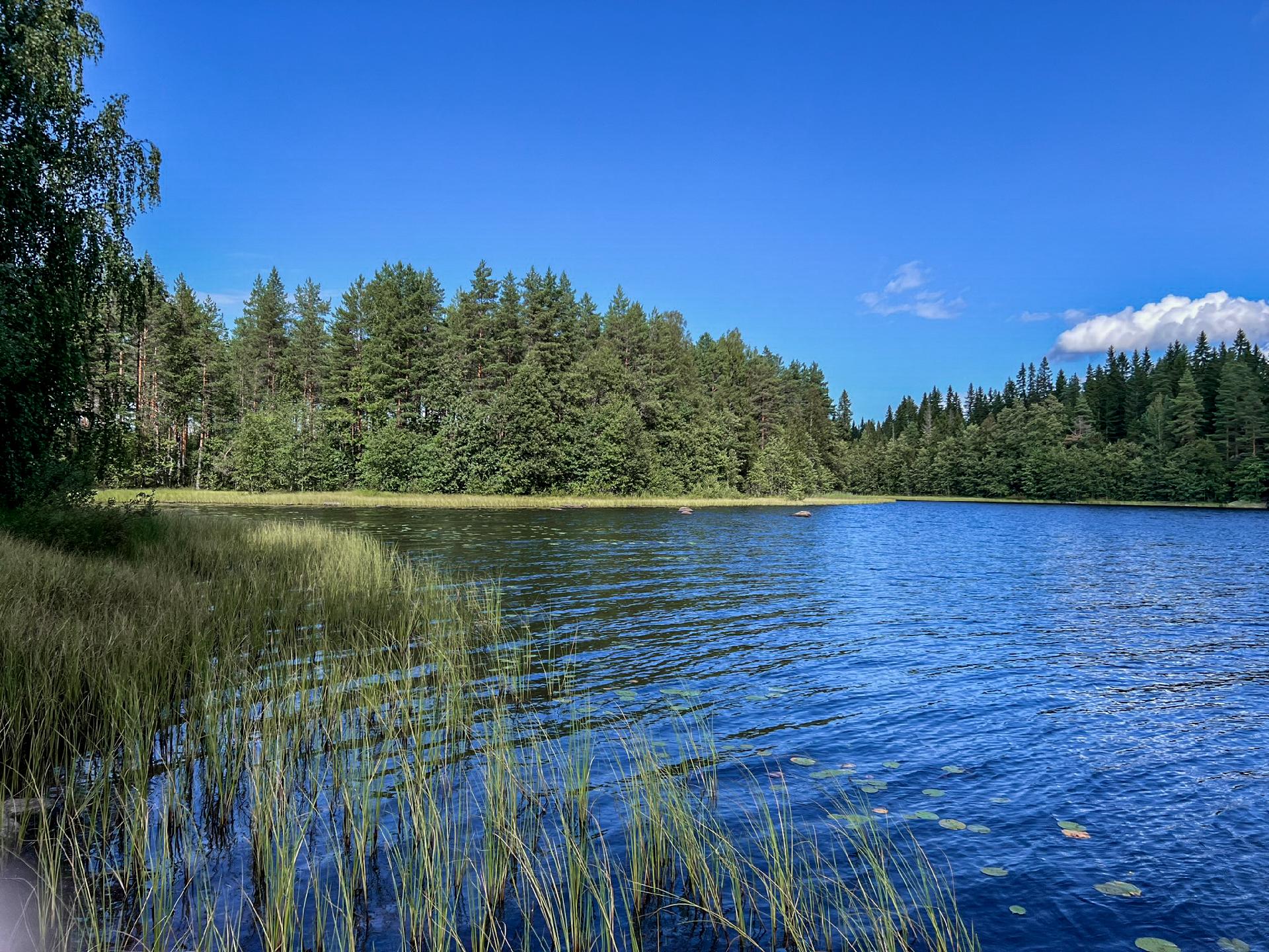 Marinkukkulantie 96, Mikkeli