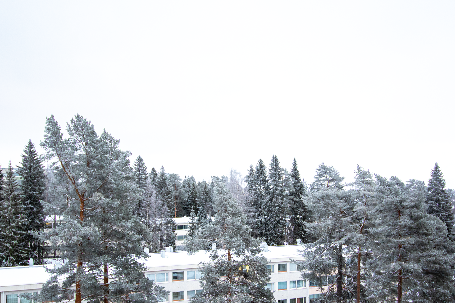 Taivaanpankontie 27, Puijonlaakso, Kuopio