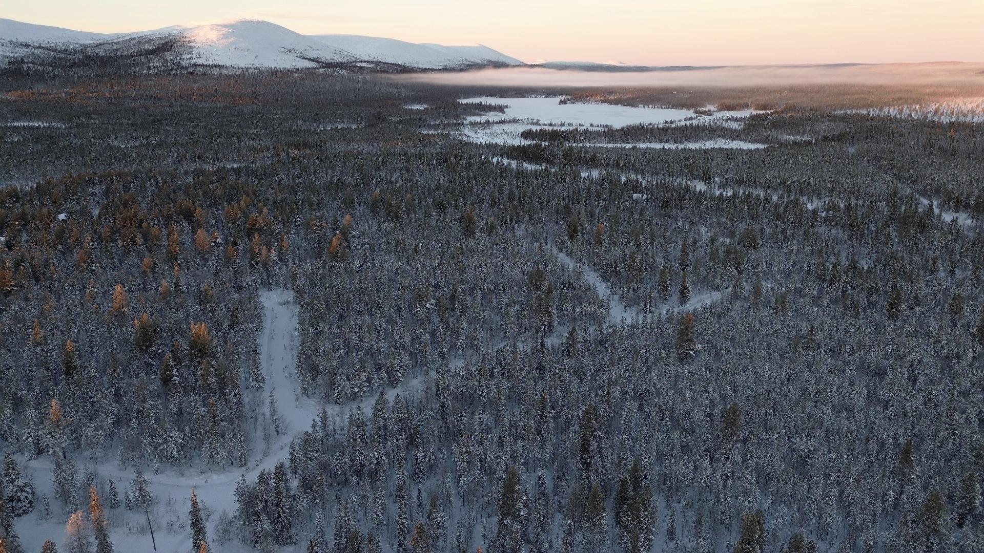 Harritie x, Raattama, Kittilä