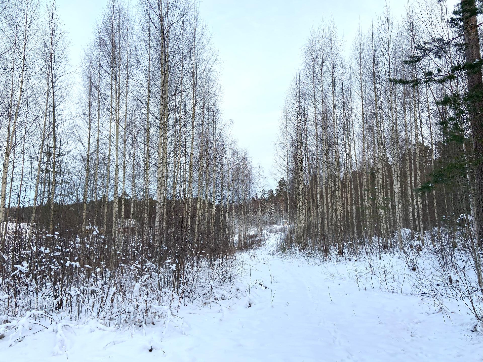 Huovilankuja 5, Sippola, Kouvola