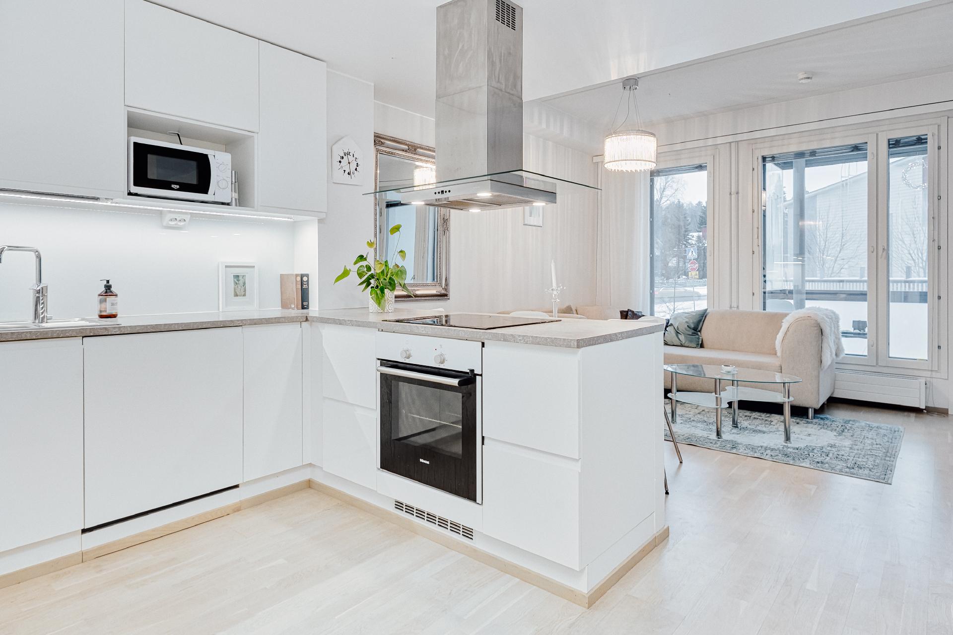 Friisinmäentie 19, Friisinmäki, Espoo