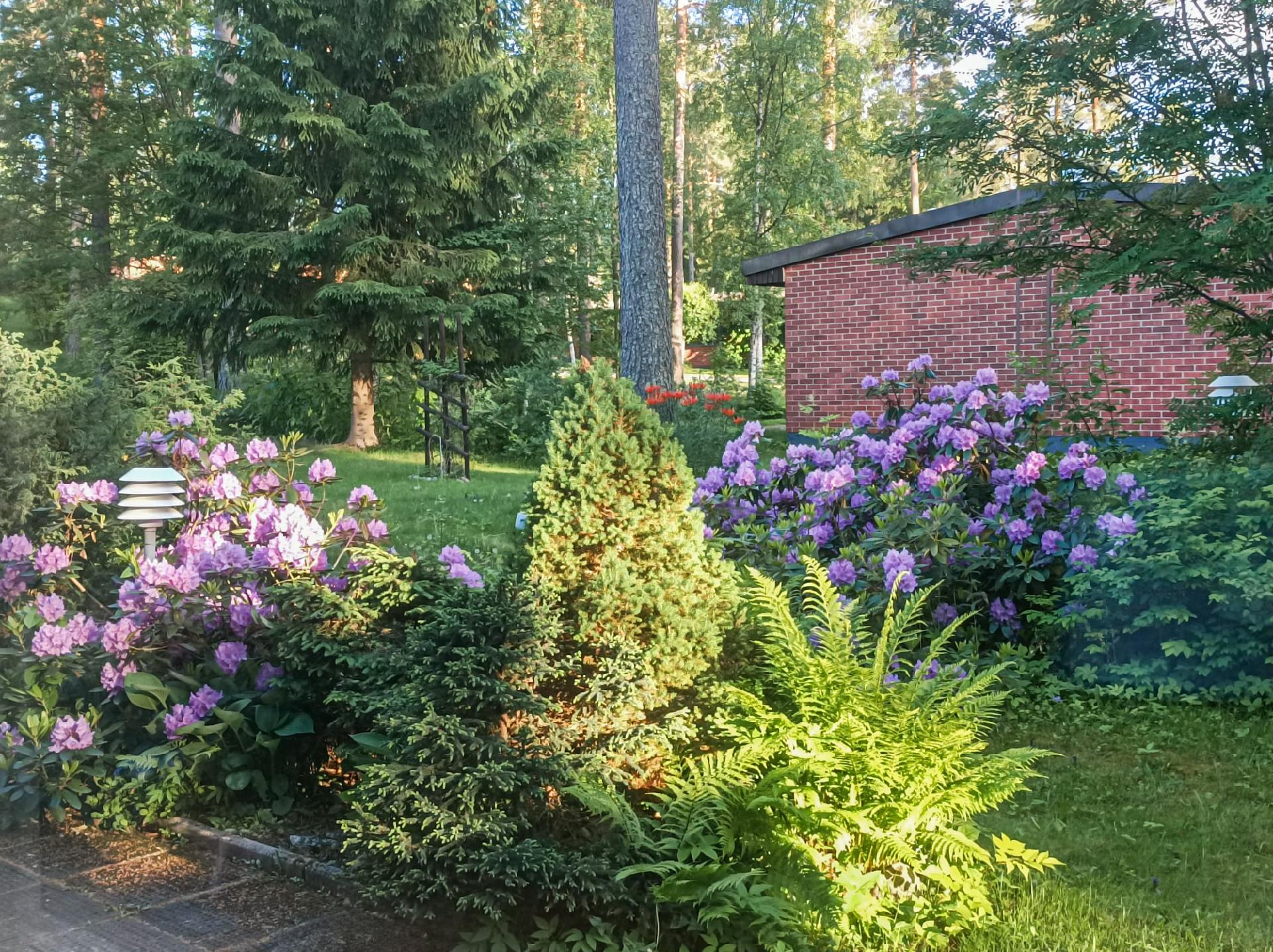 Harjukatu 3, Siekkilä, Mikkeli