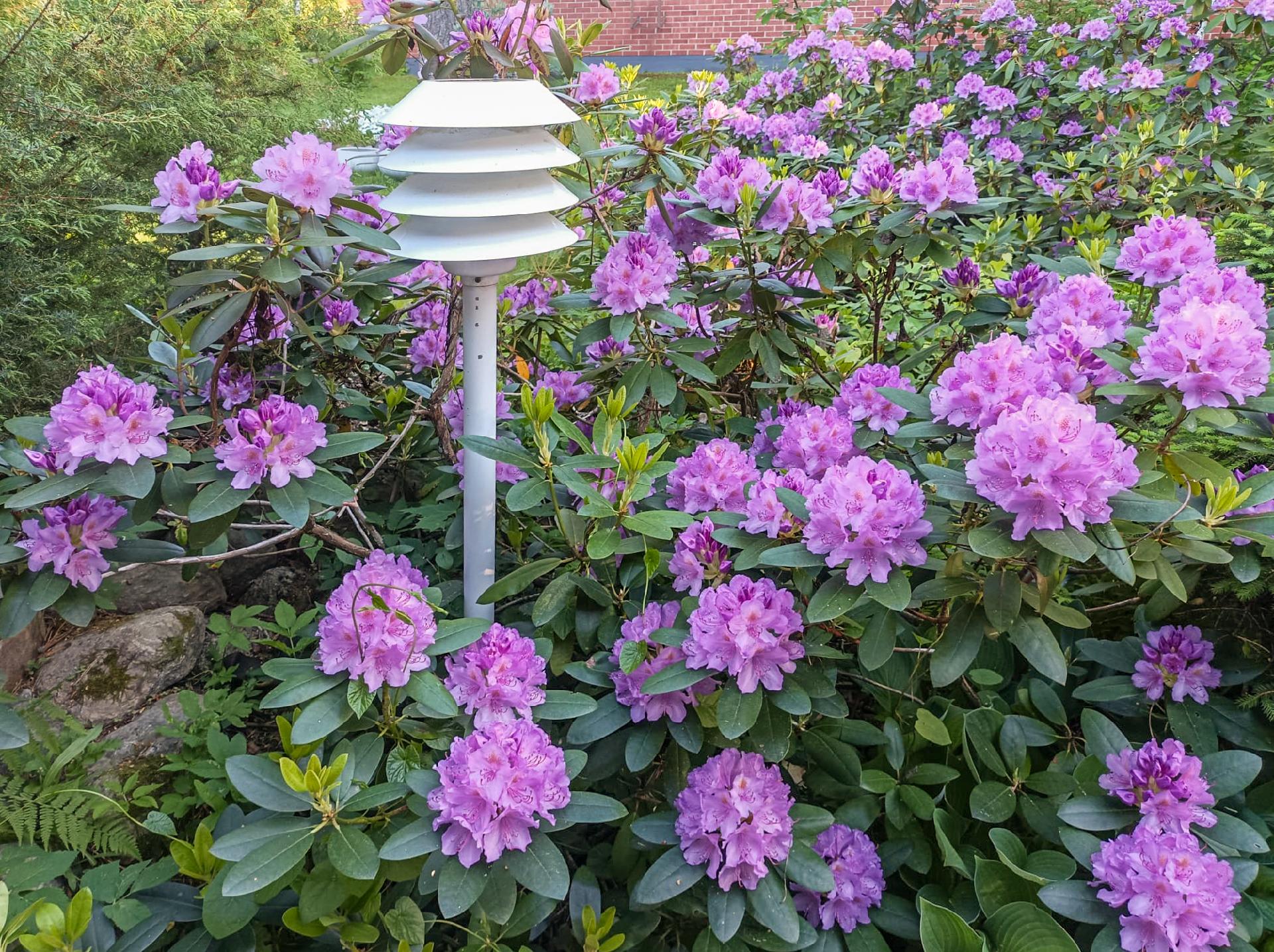 Harjukatu 3, Siekkilä, Mikkeli