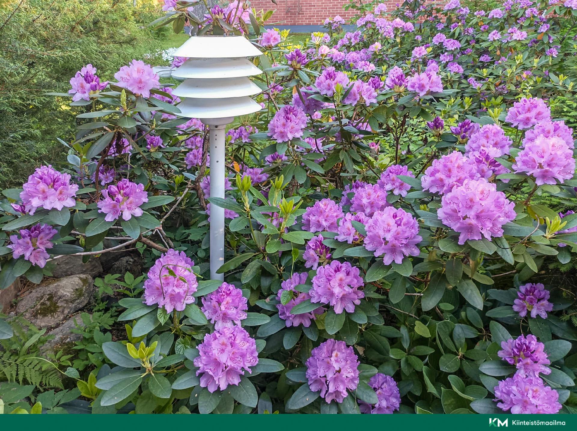 Harjukatu 3, Siekkilä, Mikkeli