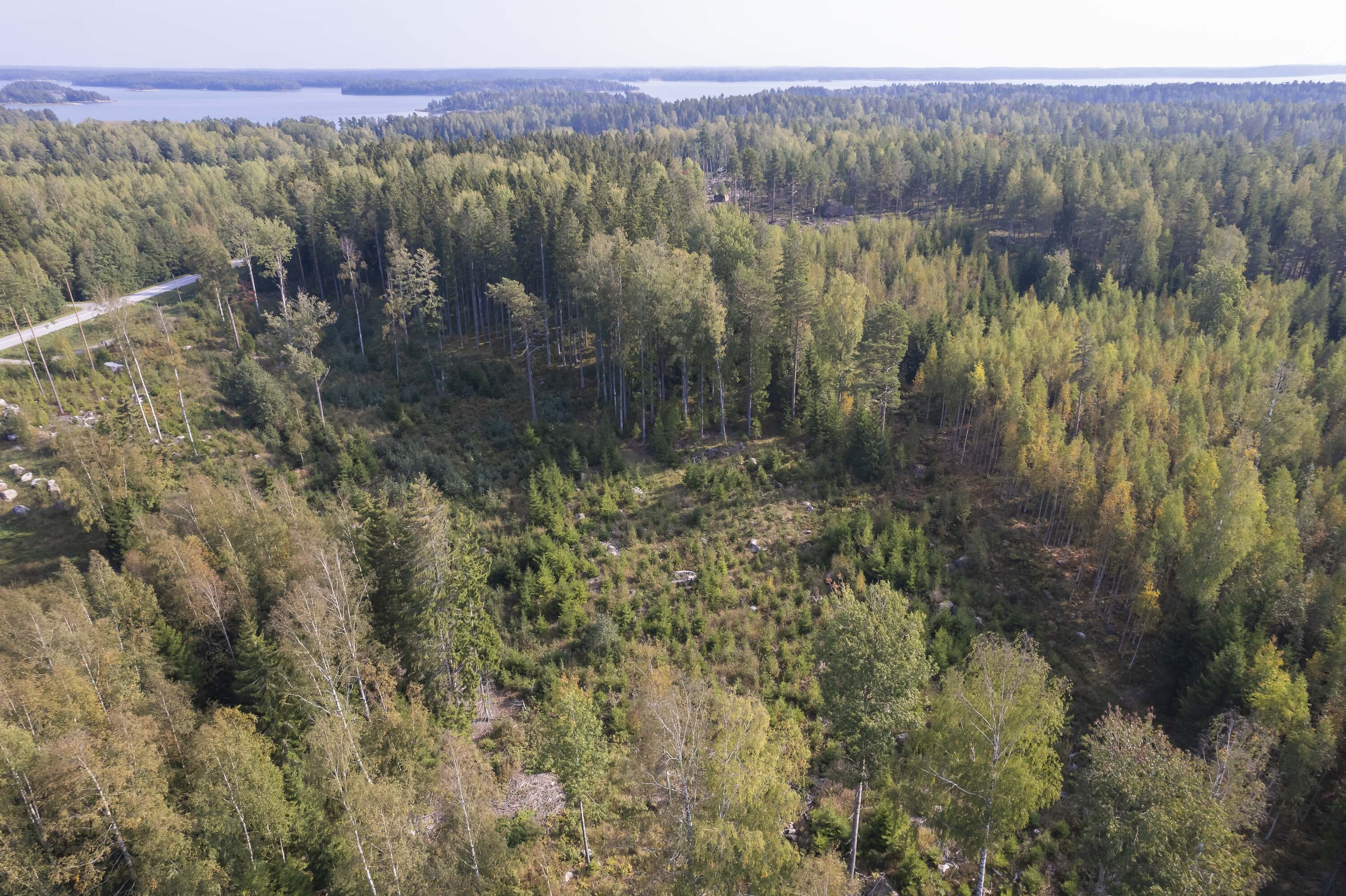 Gäddragintie -, Gäddrag, Porvoo
