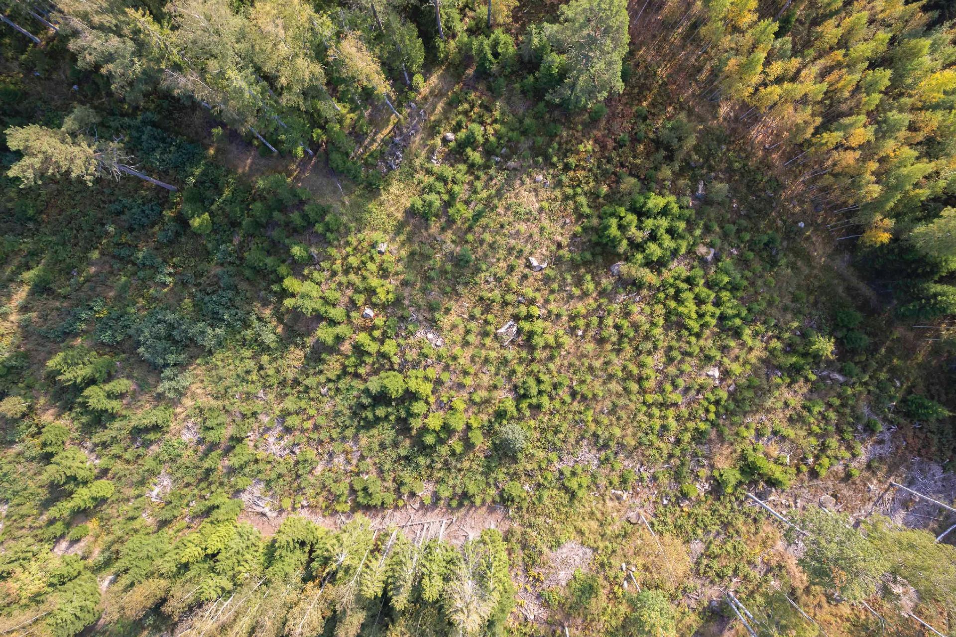 Gäddragintie -, Gäddrag, Porvoo