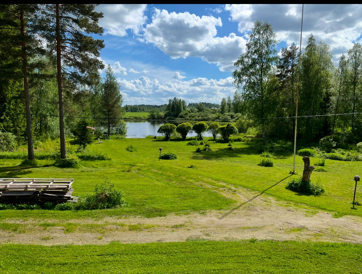 Omistajan ottama kesäkuva