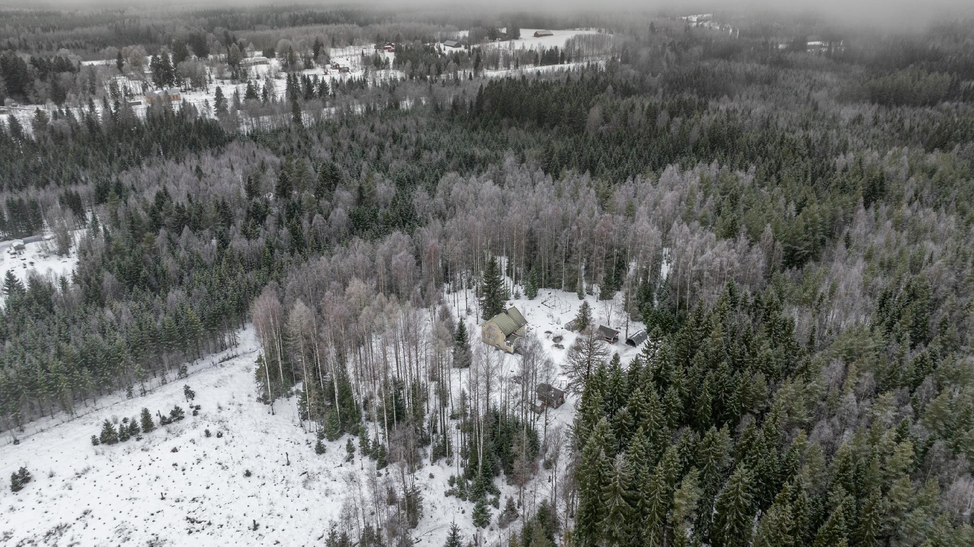 Nevalantie 161, Kantala, Mikkeli