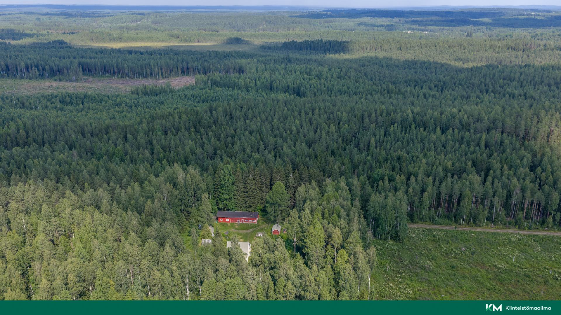 Nevalantie 161, Kantala, Mikkeli