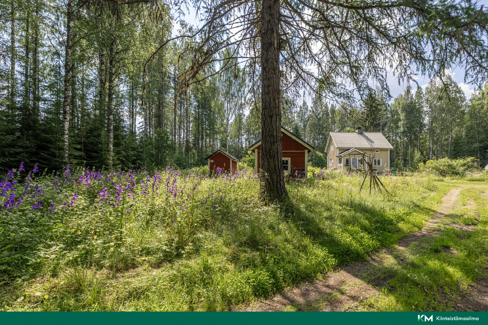 Nevalantie 161, Kantala, Mikkeli