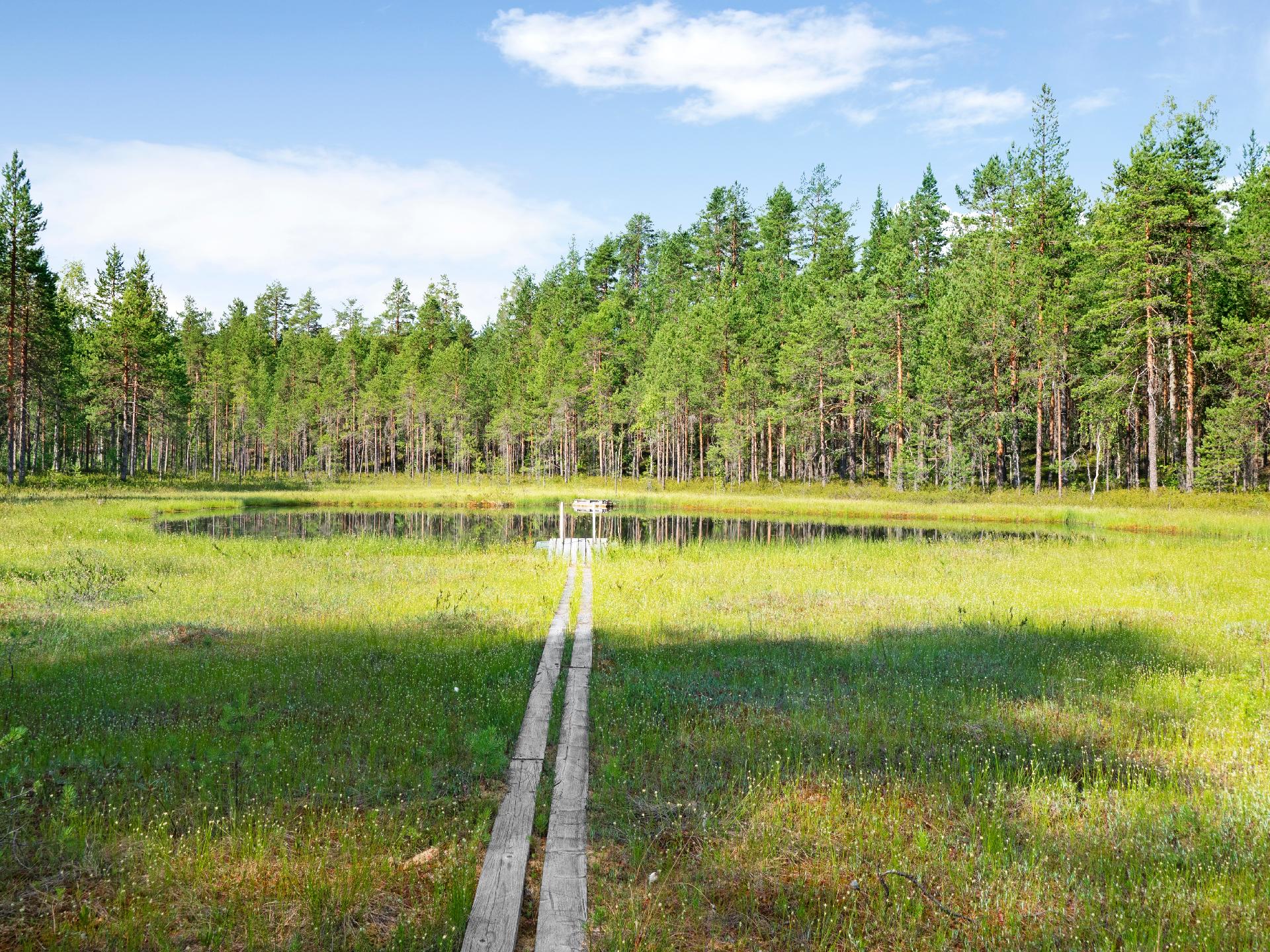 Häkinniementie 2, Koli, Lieksa