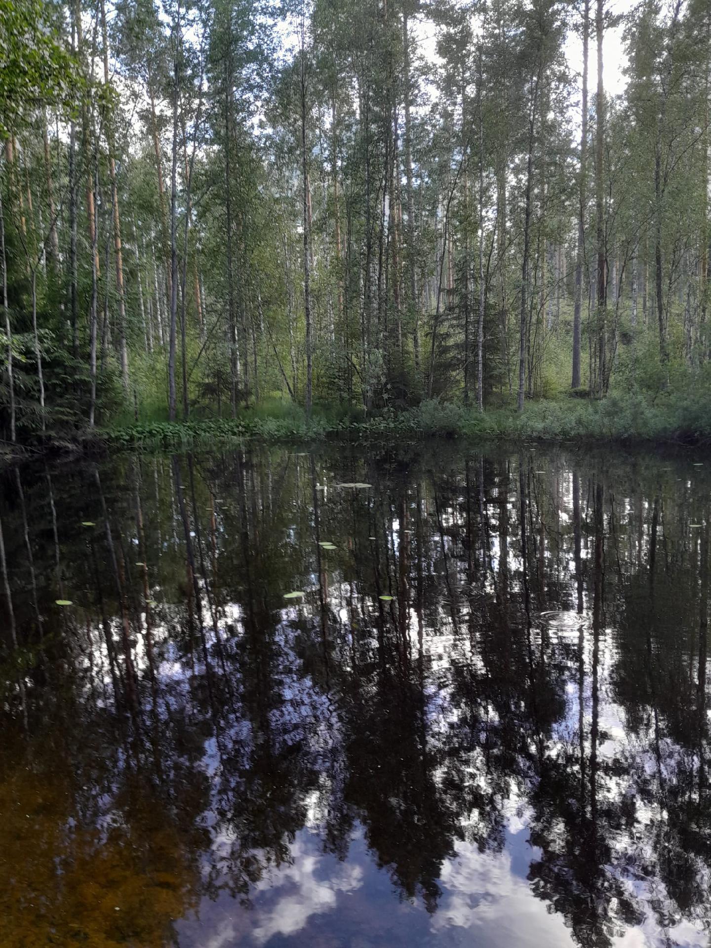 Hirniementie 201, Lusi, Heinola