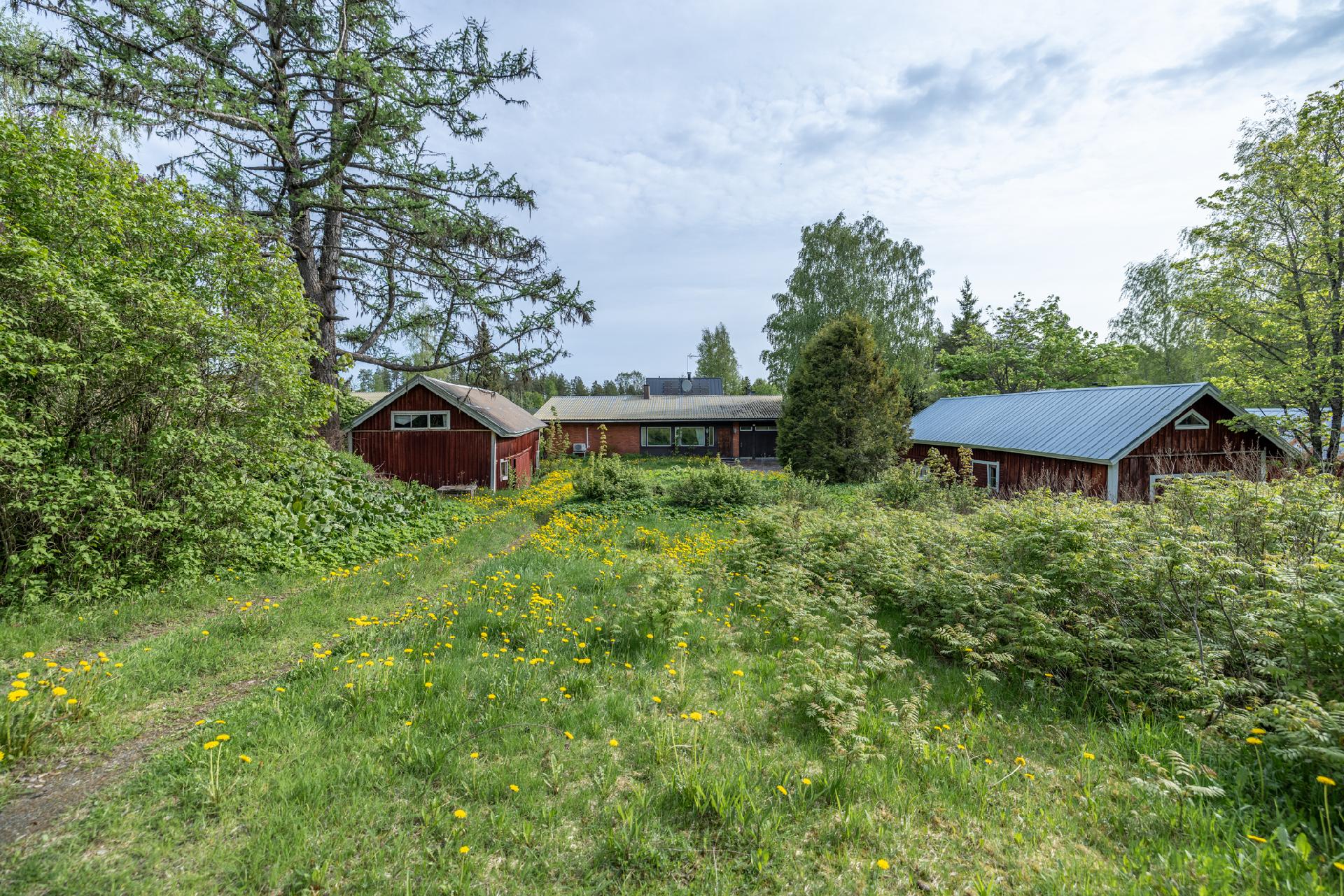 Puikkasenraitti 4, Juva