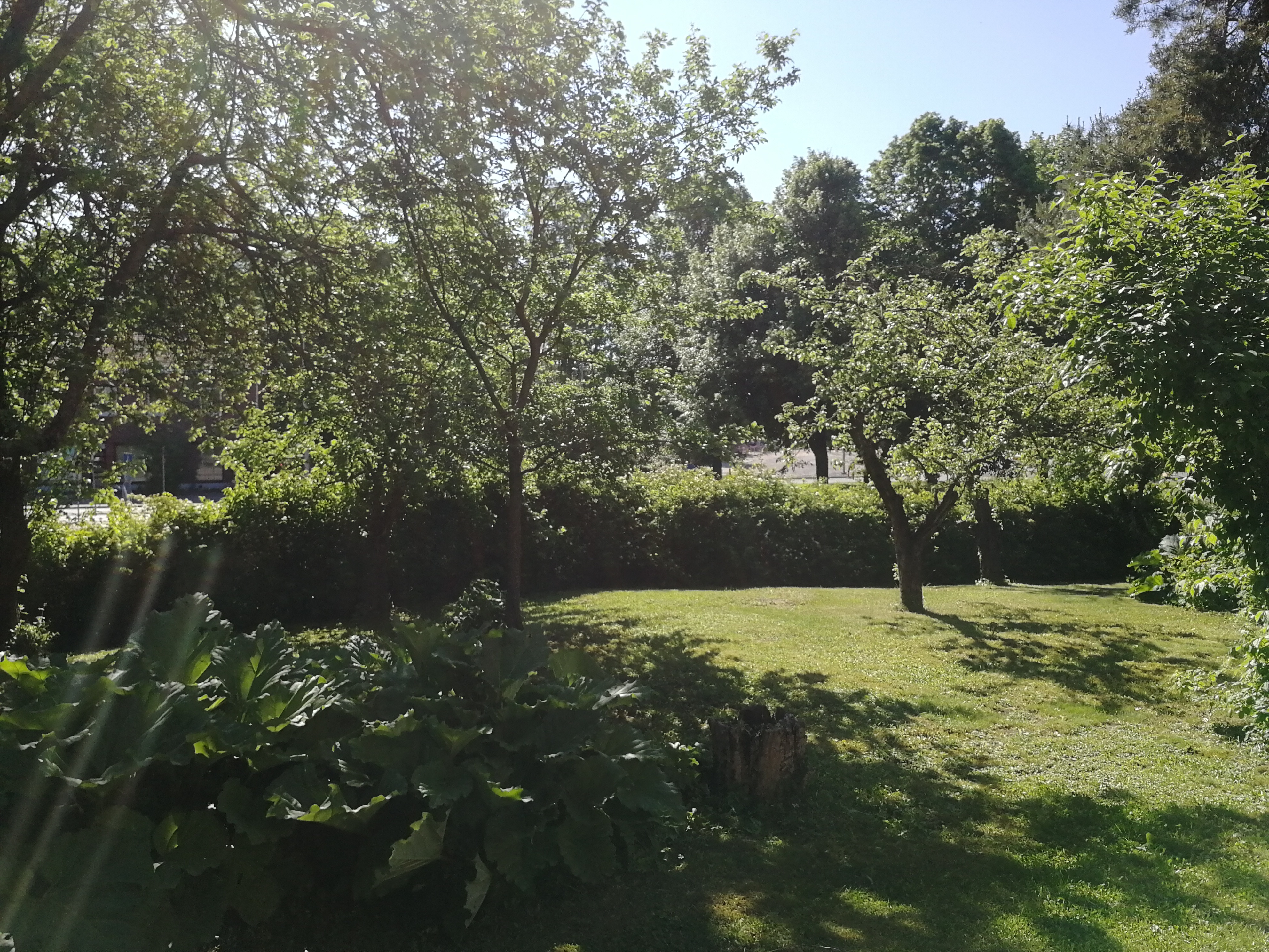 Myyjän ottama kesäkuva