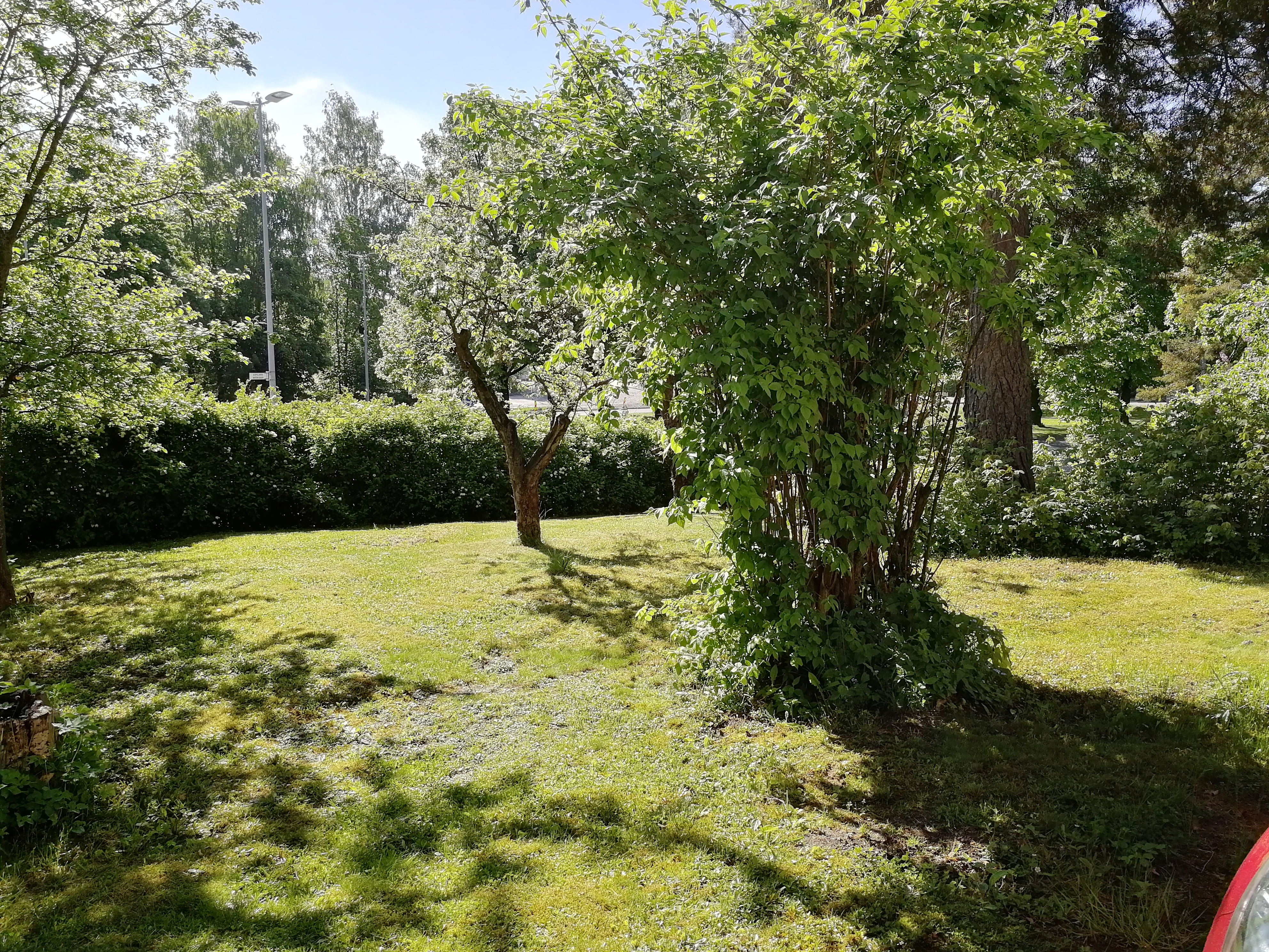 Myyjän ottama kesäkuva