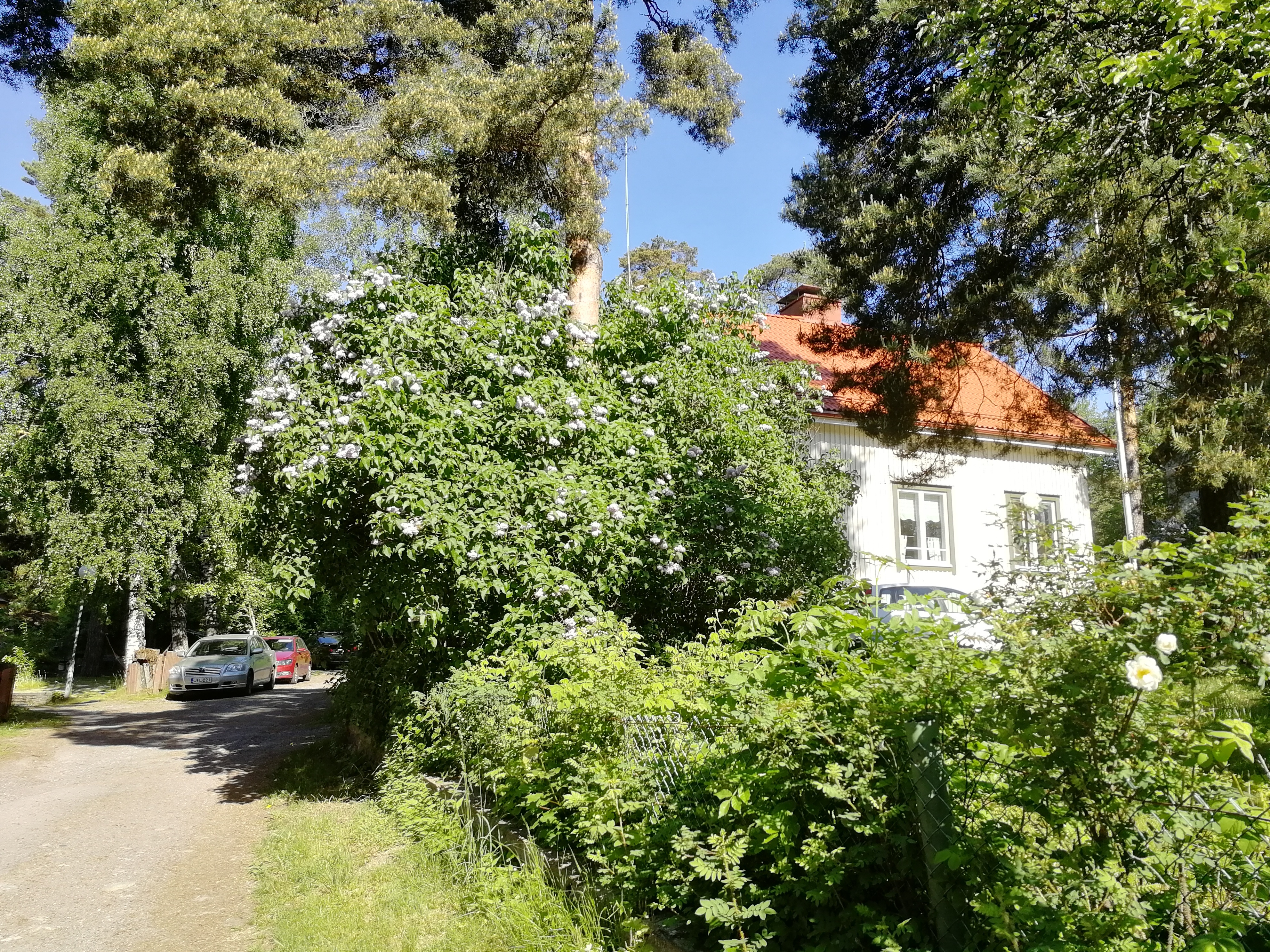 Myyjän ottama kesäkuva