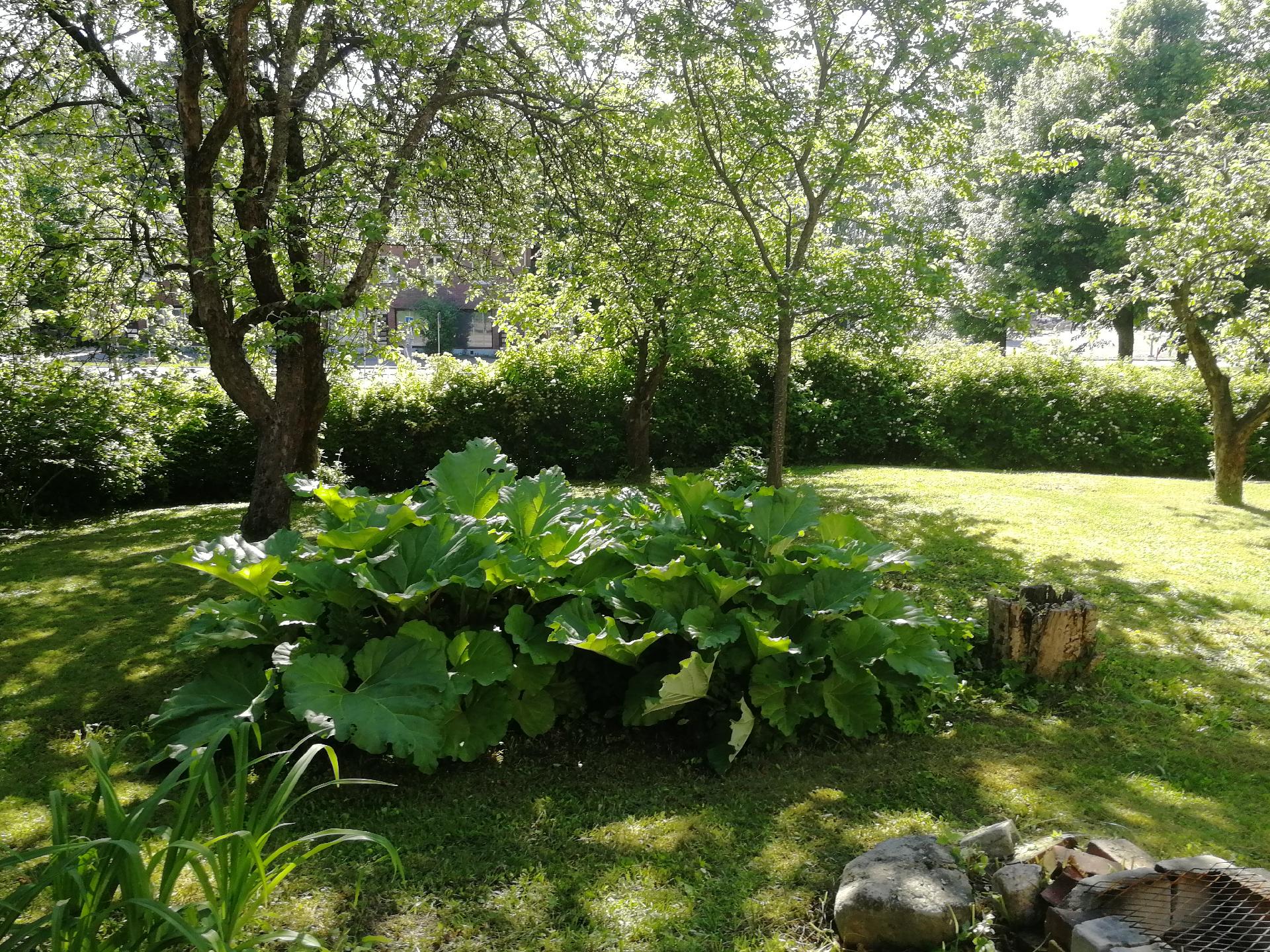 Myyjän ottama kesäkuva