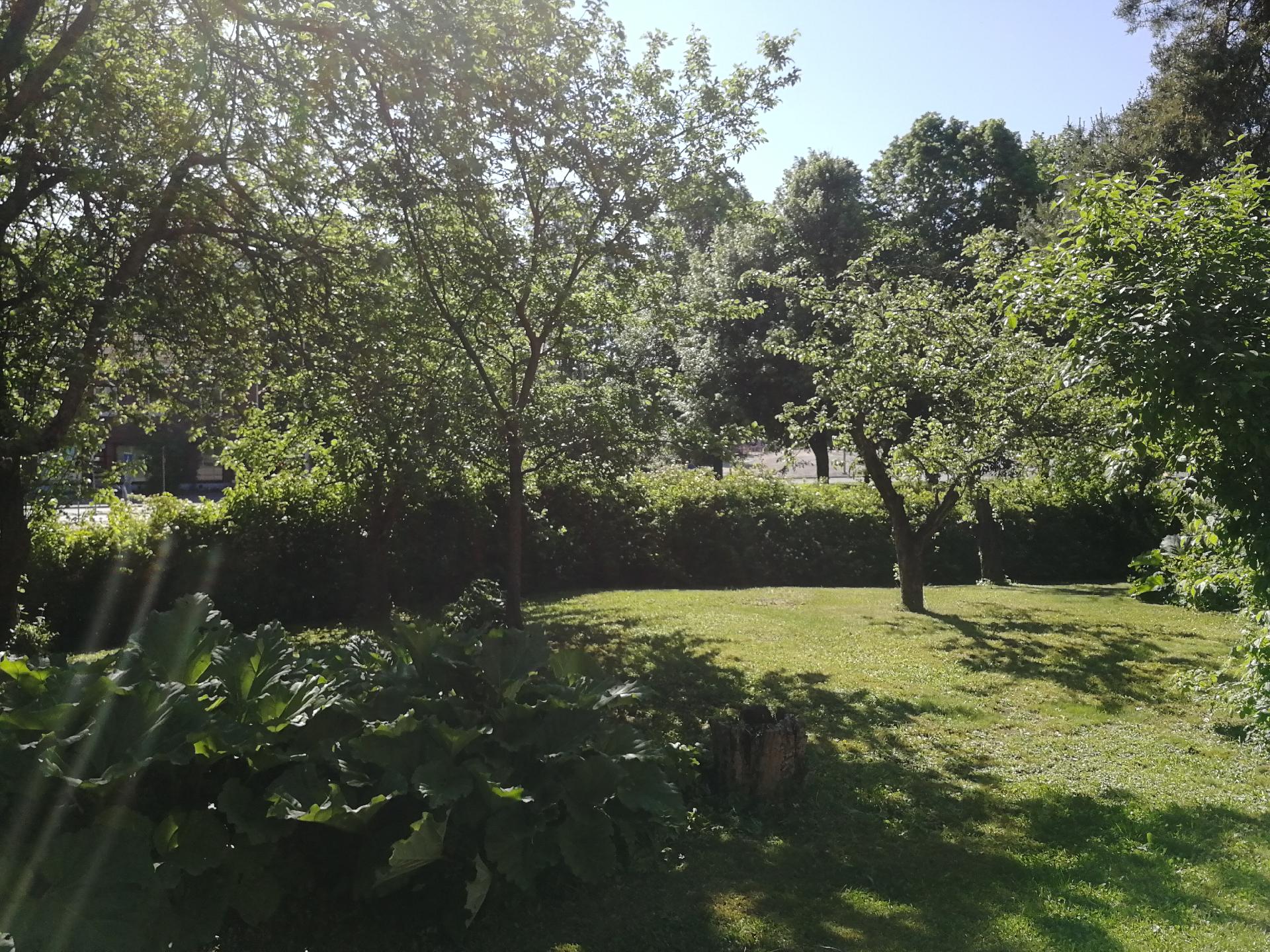 Myyjän ottama kesäkuva