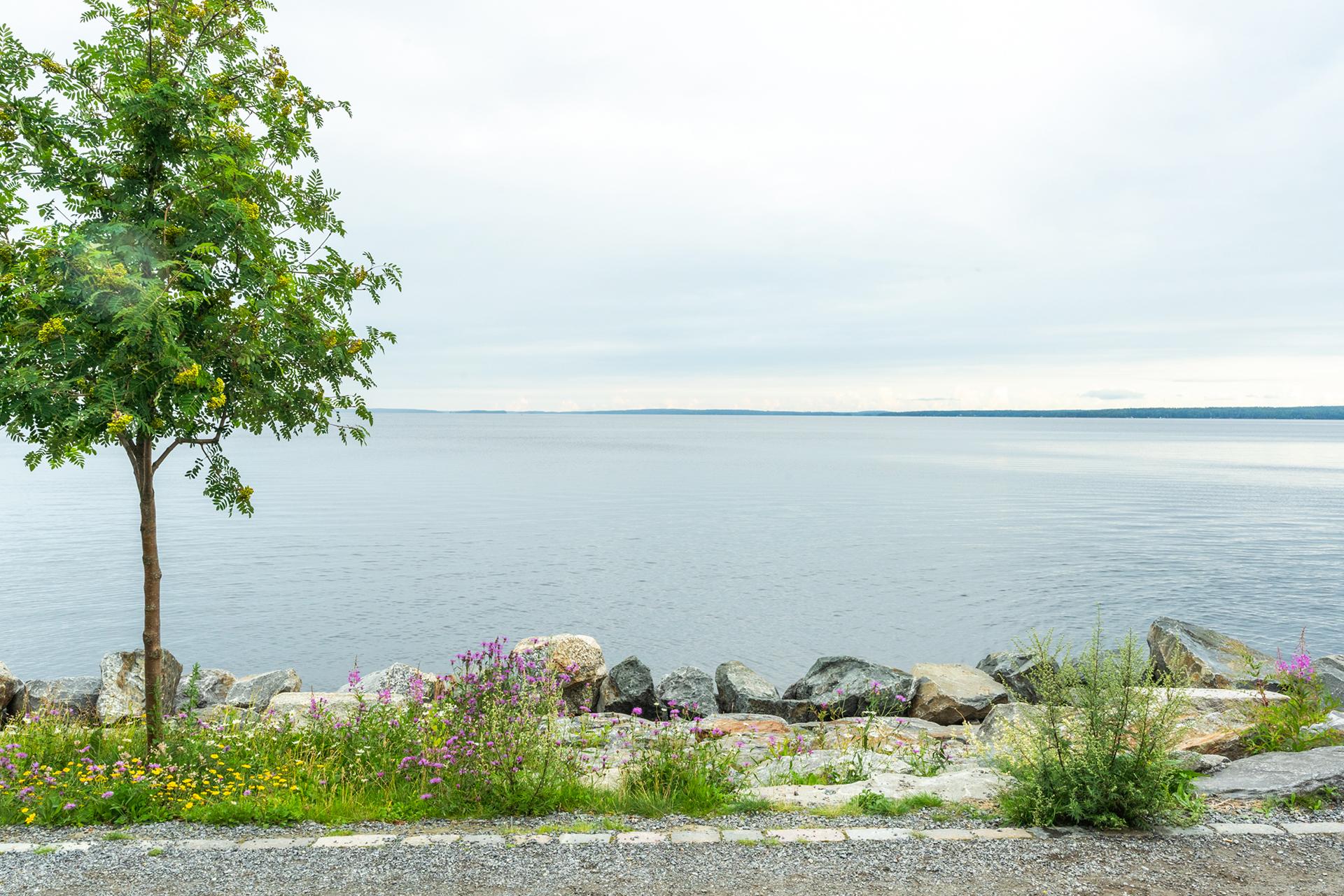 Ranta-Tampellan katu 23, Ranta-Tampella, Tampere