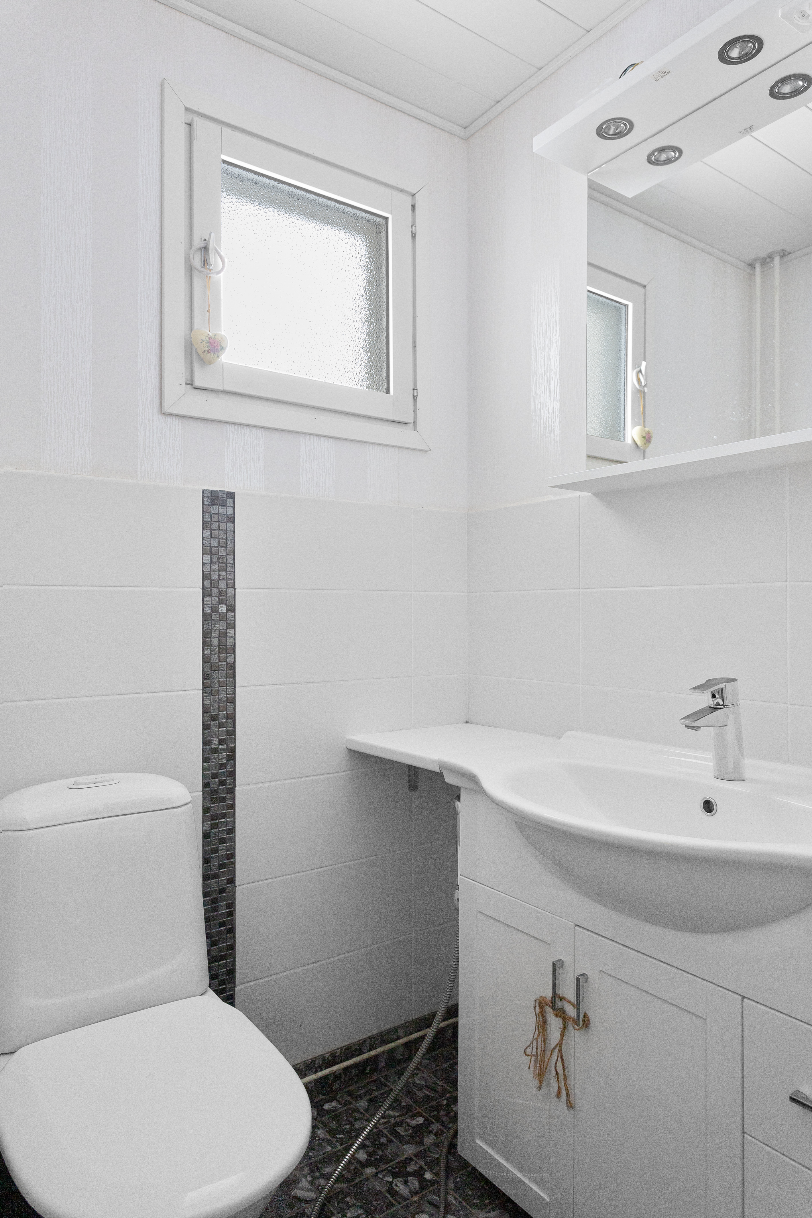 Erillinen wc
