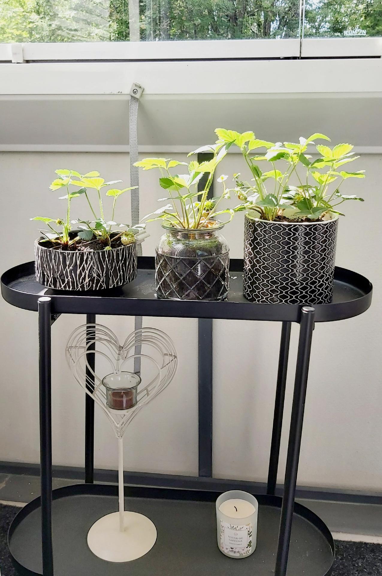 Kajaaninlinnantie 8, Puotinharju, Helsinki