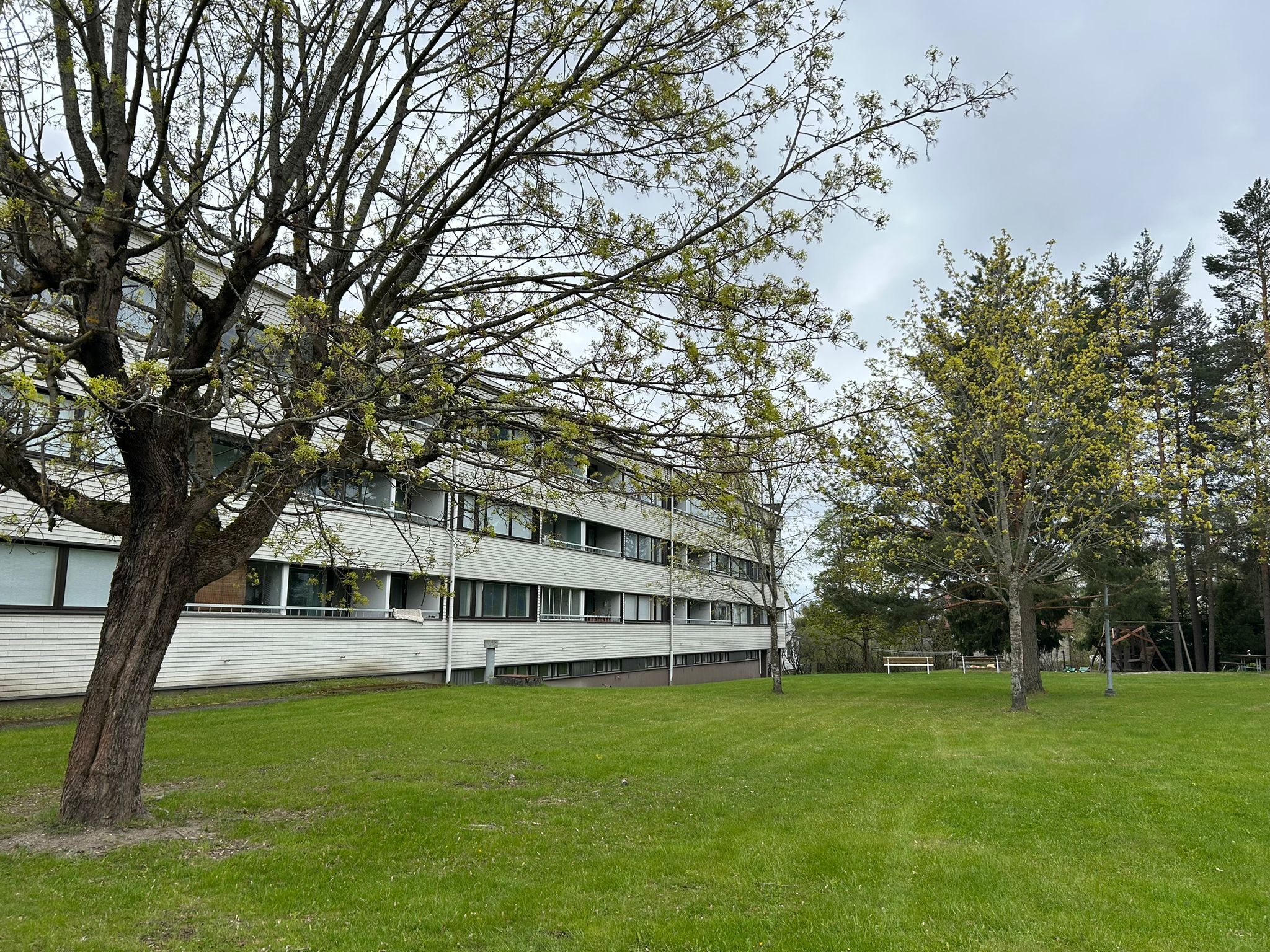 Kevätkuva pihasta