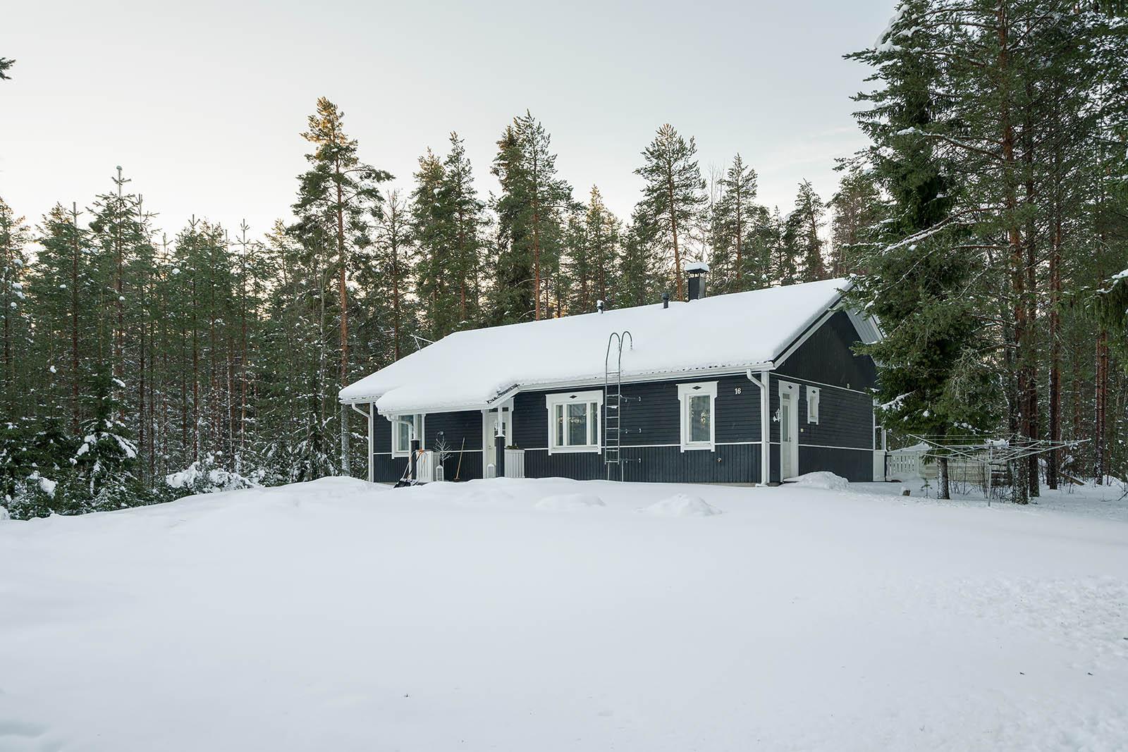 Viihtyisä, iso etupiha