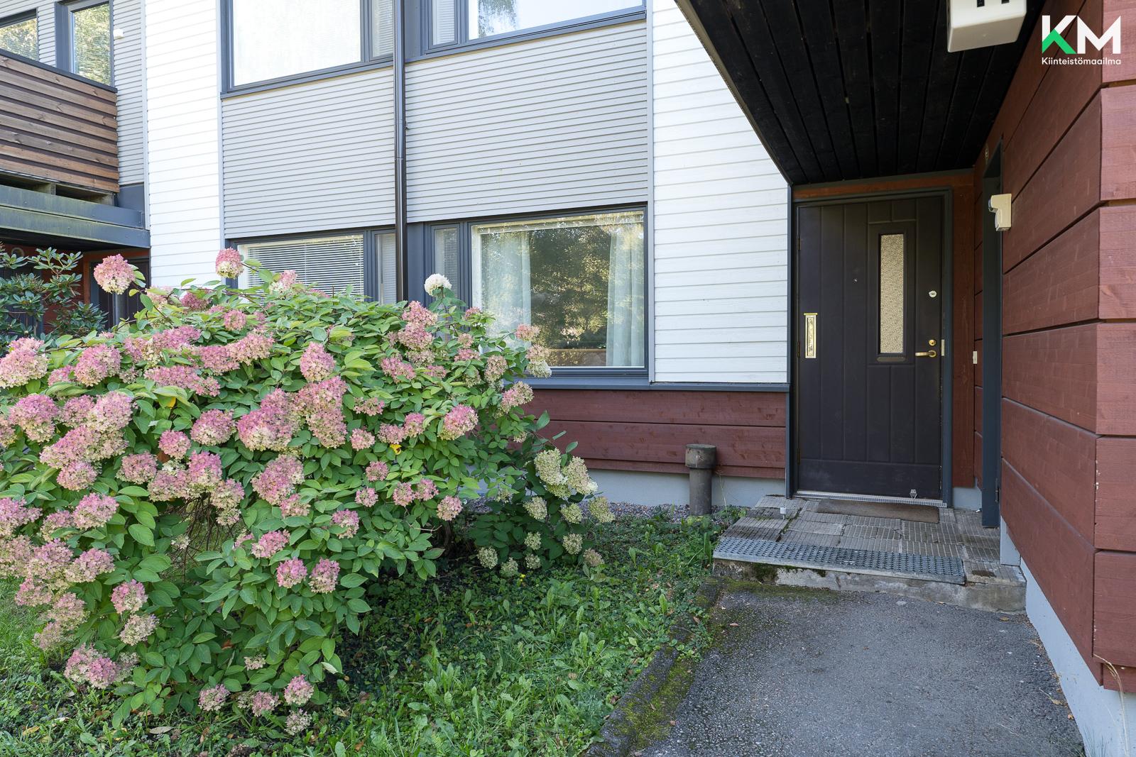 Pääsisäänkäynti