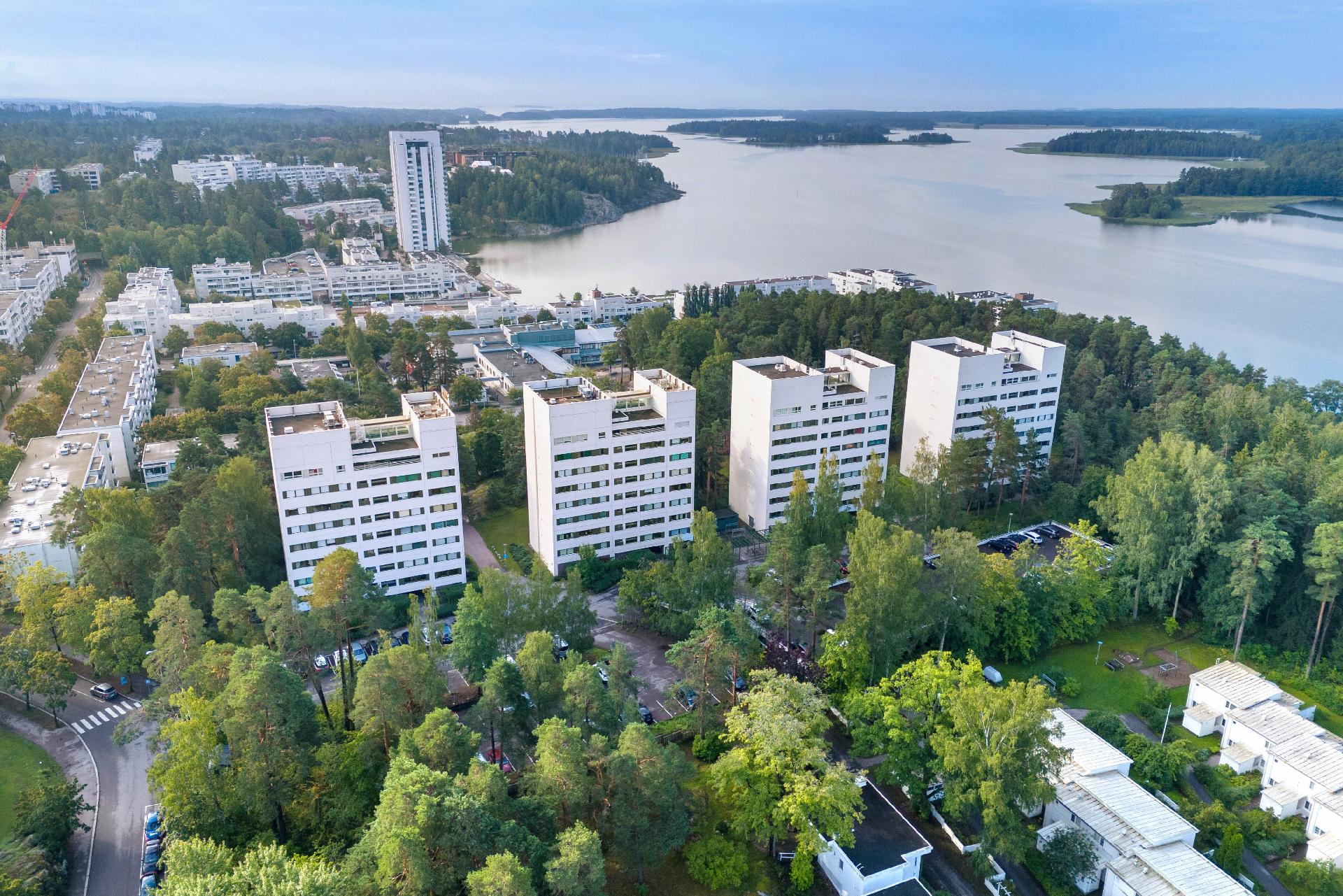 Kuva kesältä 2024