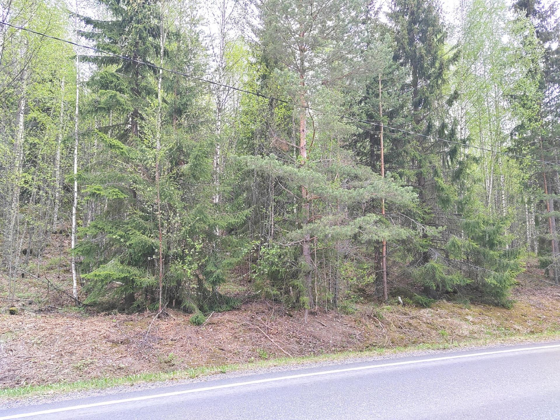 Kuruntie -, Ritasjärvi, Hyvinkää