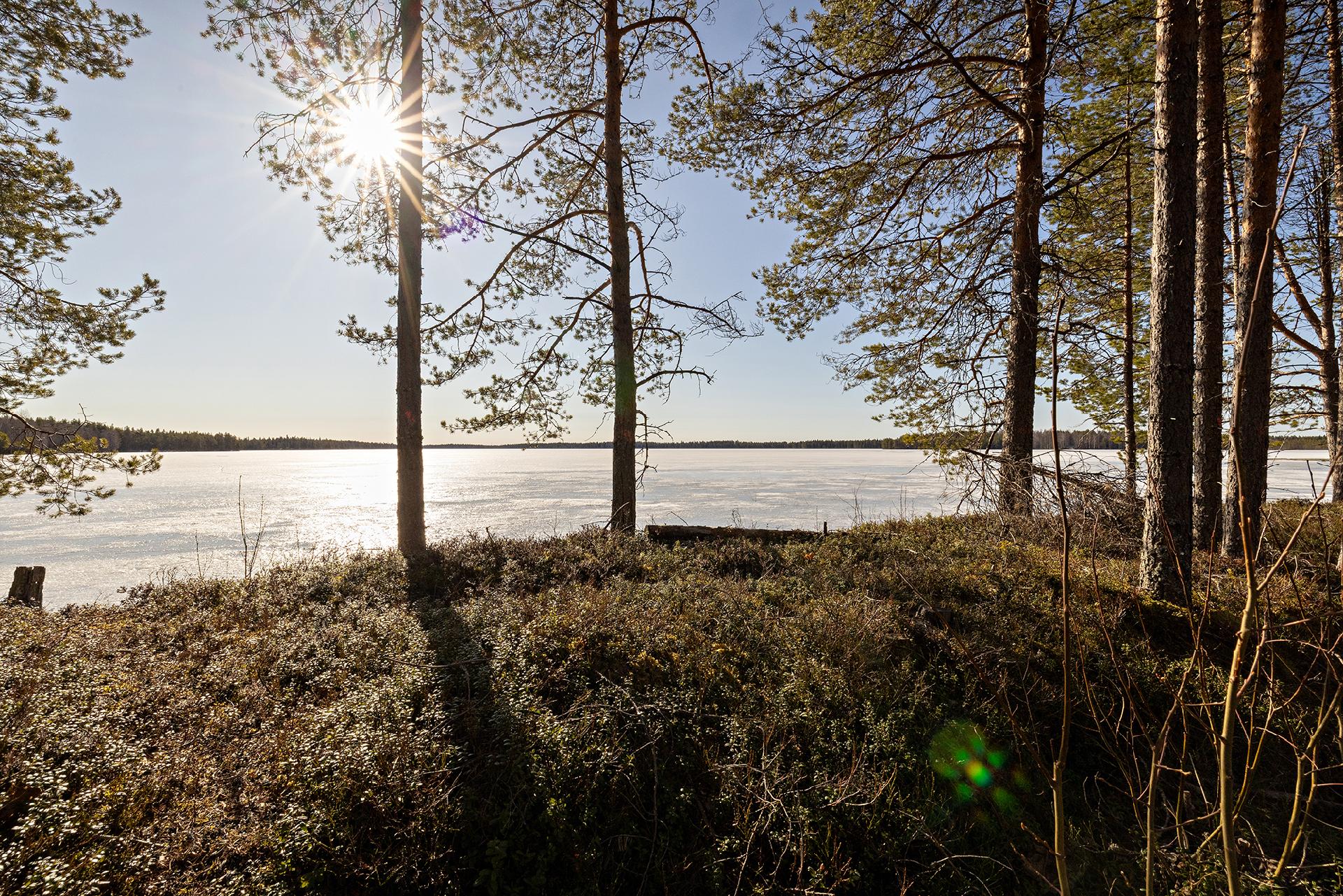 Mustakummuntie 106, Yli-Ii, Oulu