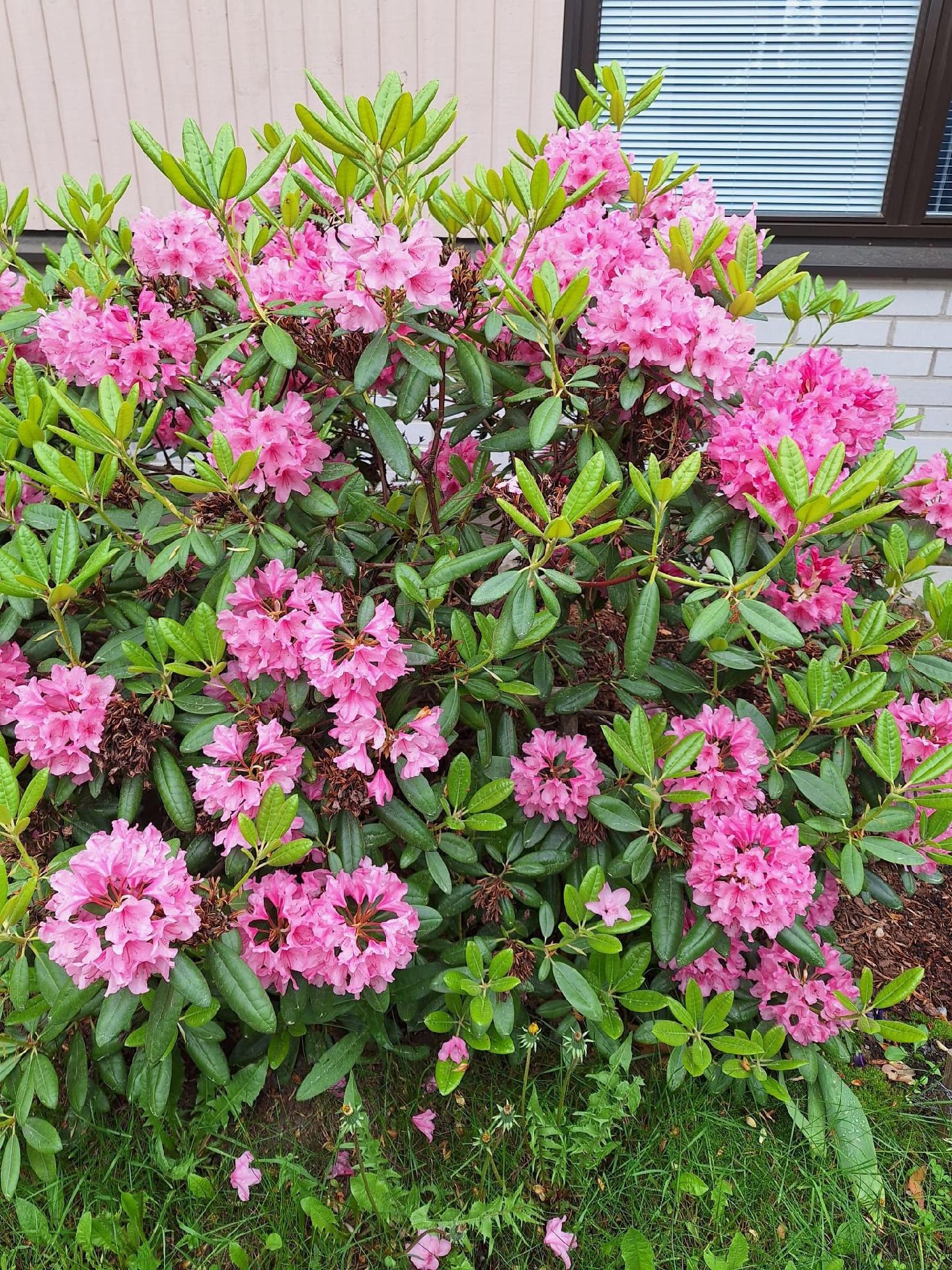 Purasin 6, Keljonkangas, Jyväskylä