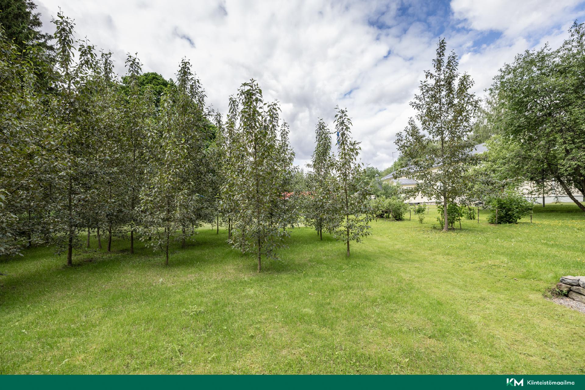 Vanha Pieksämäentie 2, Oravinmäki, Mikkeli