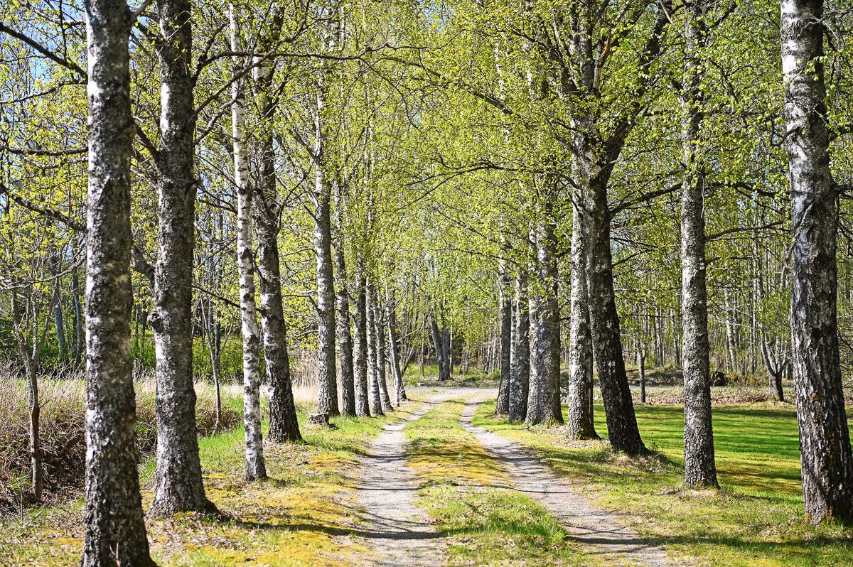 Svarvarsintie 106, Tammisaari, Raasepori