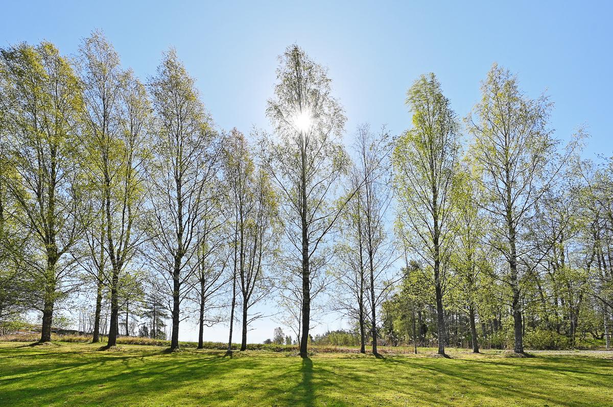 Svarvarsintie 106, Tammisaari, Raasepori